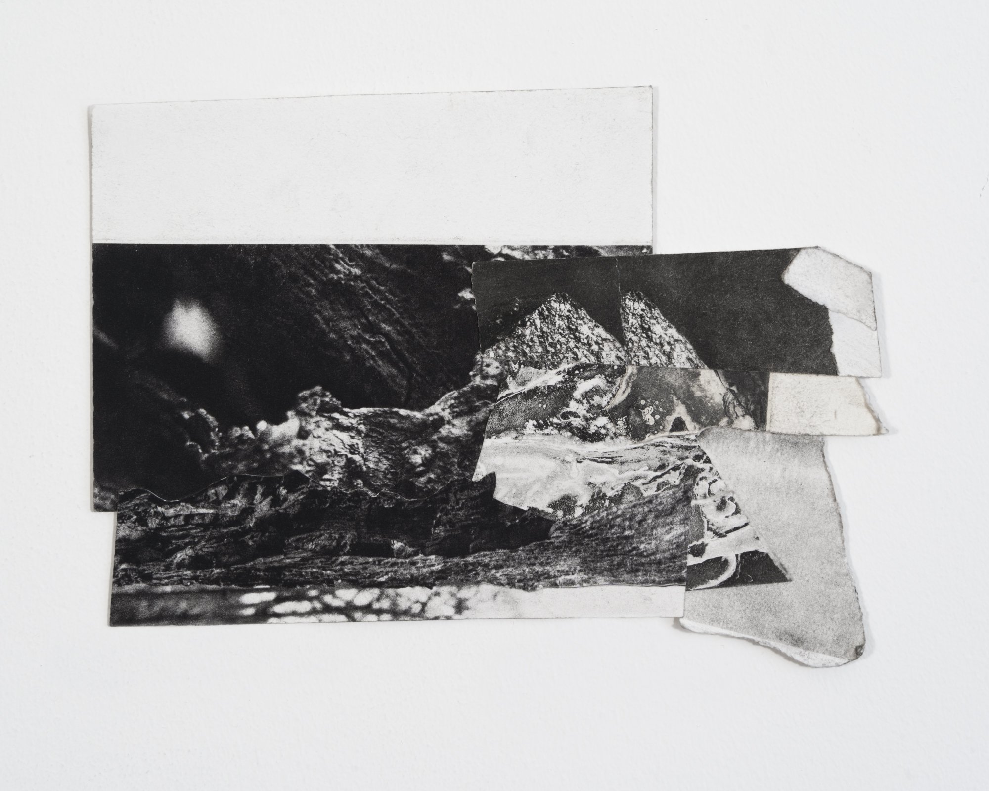 Tree Pools, 2022,
Collaged photogravure and whiteground etching,
7” x 10”
