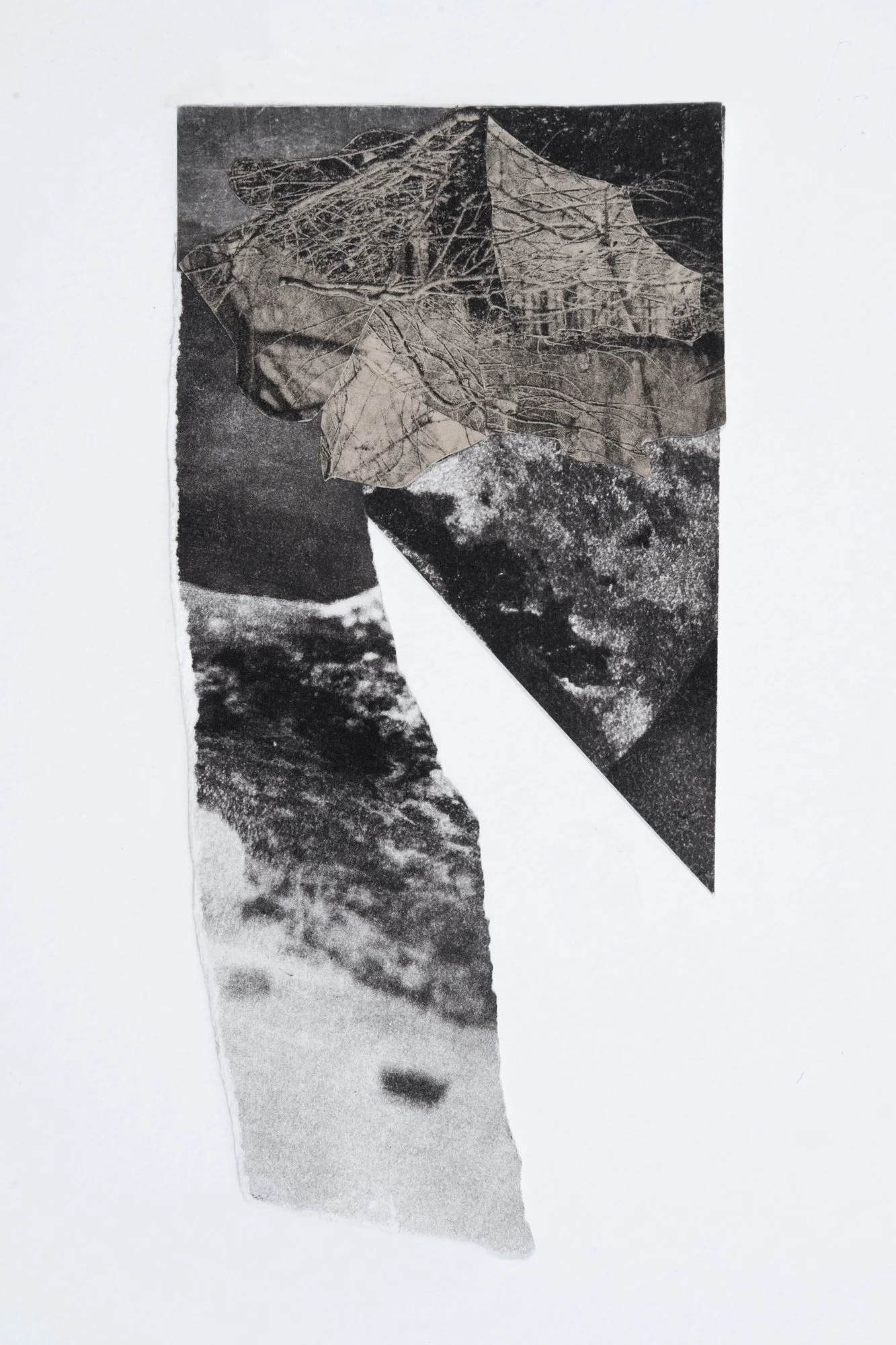 Glass House, 2022
Collaged photogravure
5.25” x 10.5”
