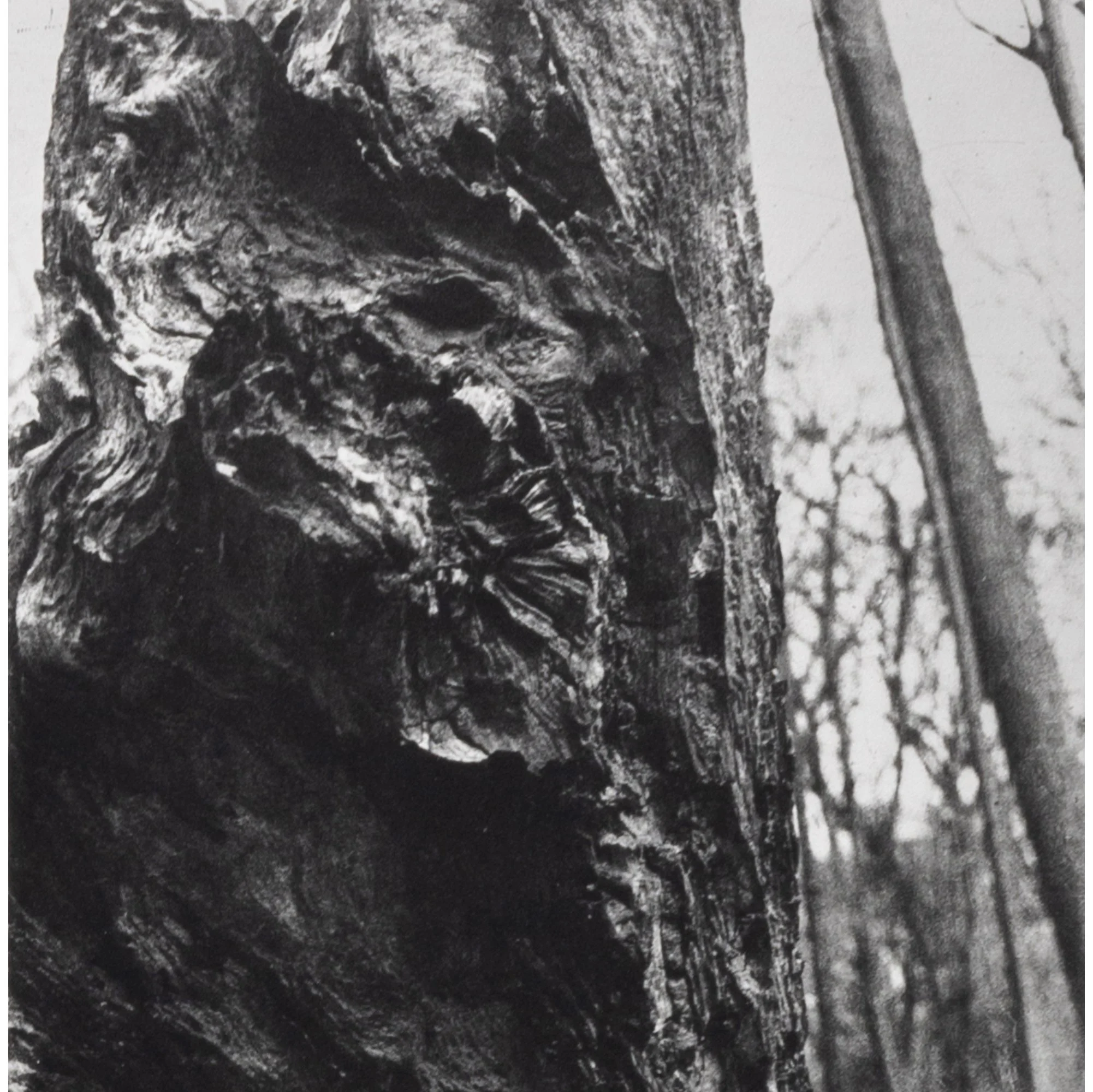 Roots-Underworld-Series-15.jpg