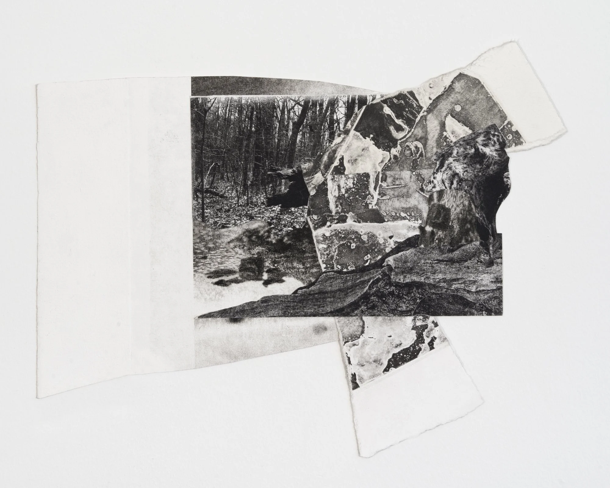 Rock & Stump, 2022,
Collaged photogravure and whiteground etching,
11” x 16”