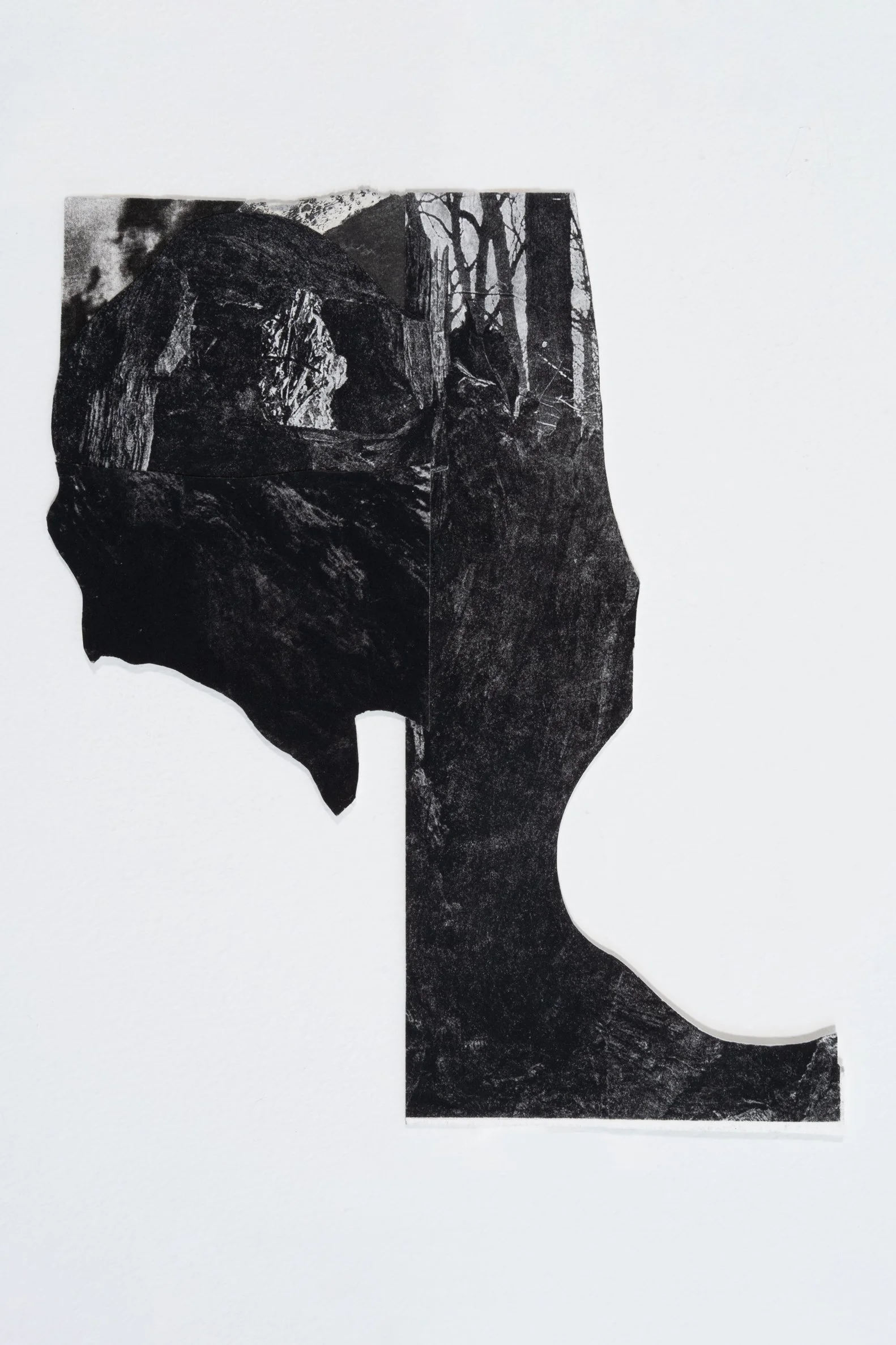 Night Cliff, 2022
Collaged photogravure and whiteground etching
8.5” x 10”
