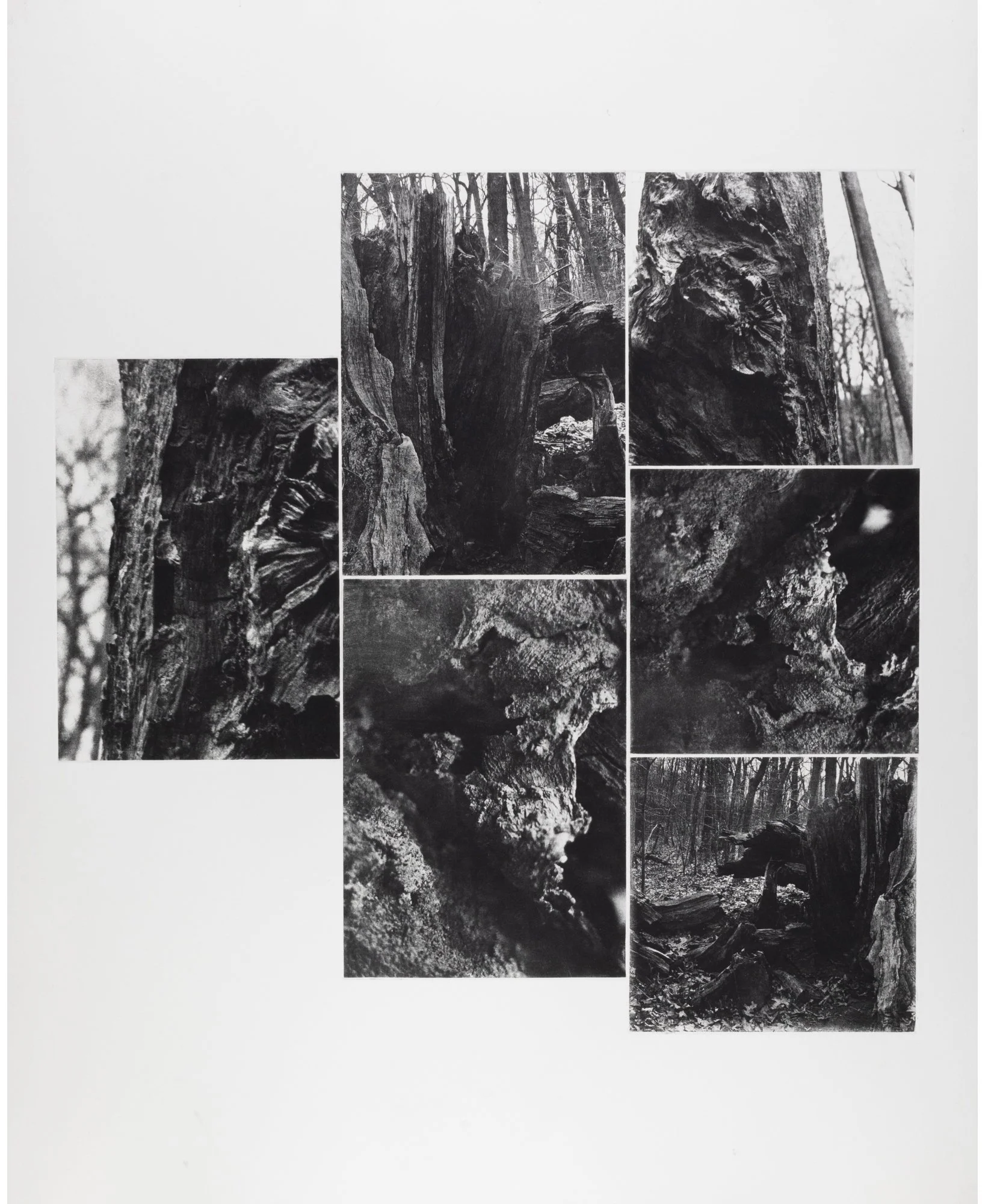Roots-Underworld-Series-9.jpg