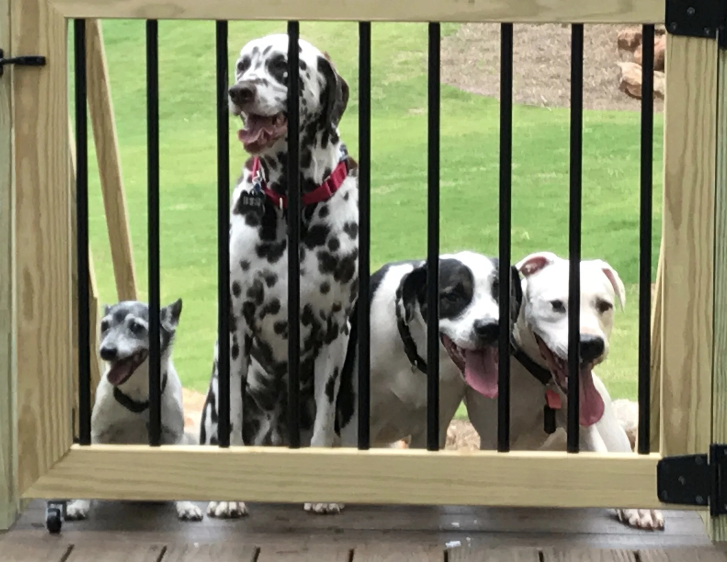 Copyright: Pet-Friendly Planning 2018