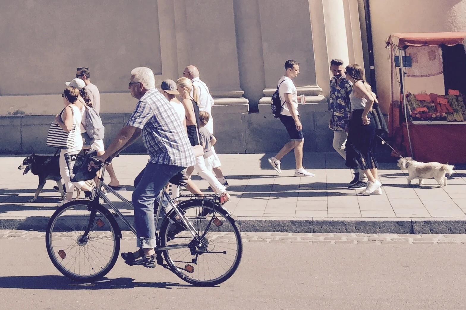 Bike, pedestrians, and dogs in Munich, Germany
