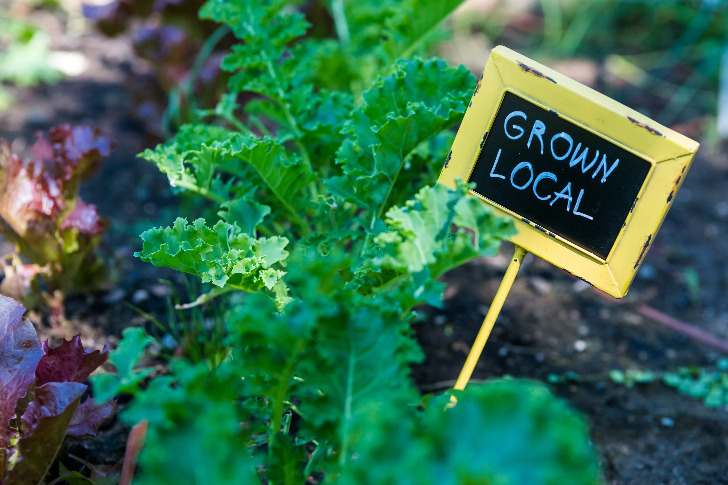 Image source: Slow Food Sonoma Valley, <http://www.slowfoodsv.com/what-is-sustainable-agriculture/>.