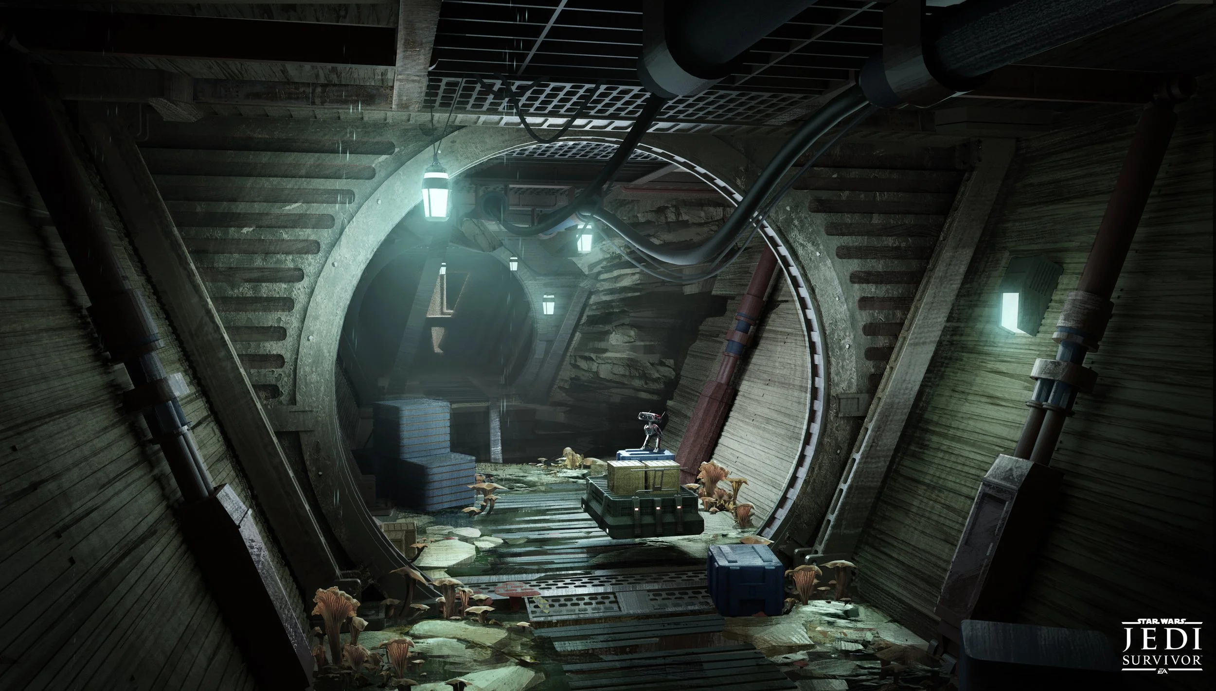 LM_hallway 006.jpg