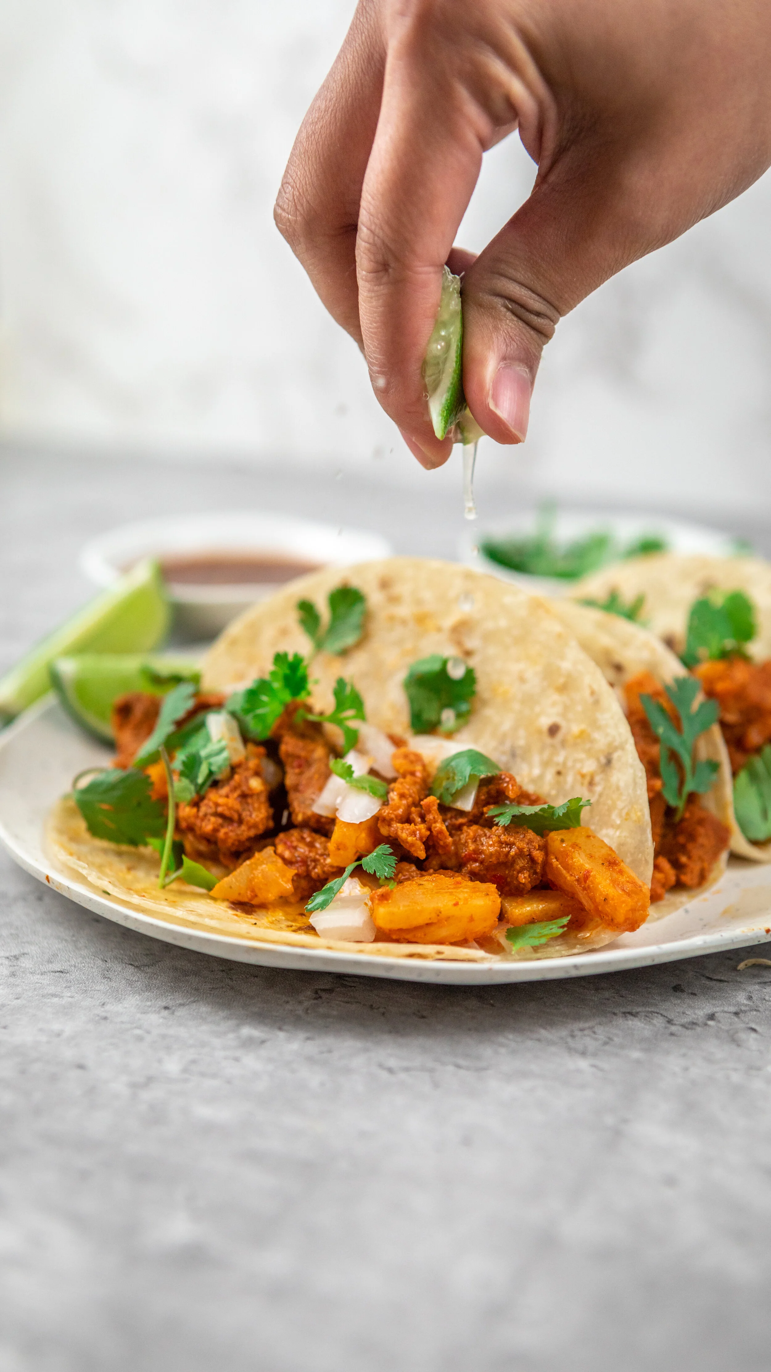 Alpastor Taco- 45 Degree.jpg