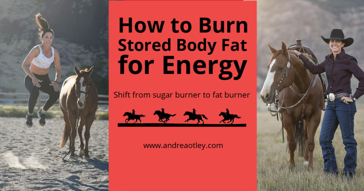 burn fat for energy graphic.png