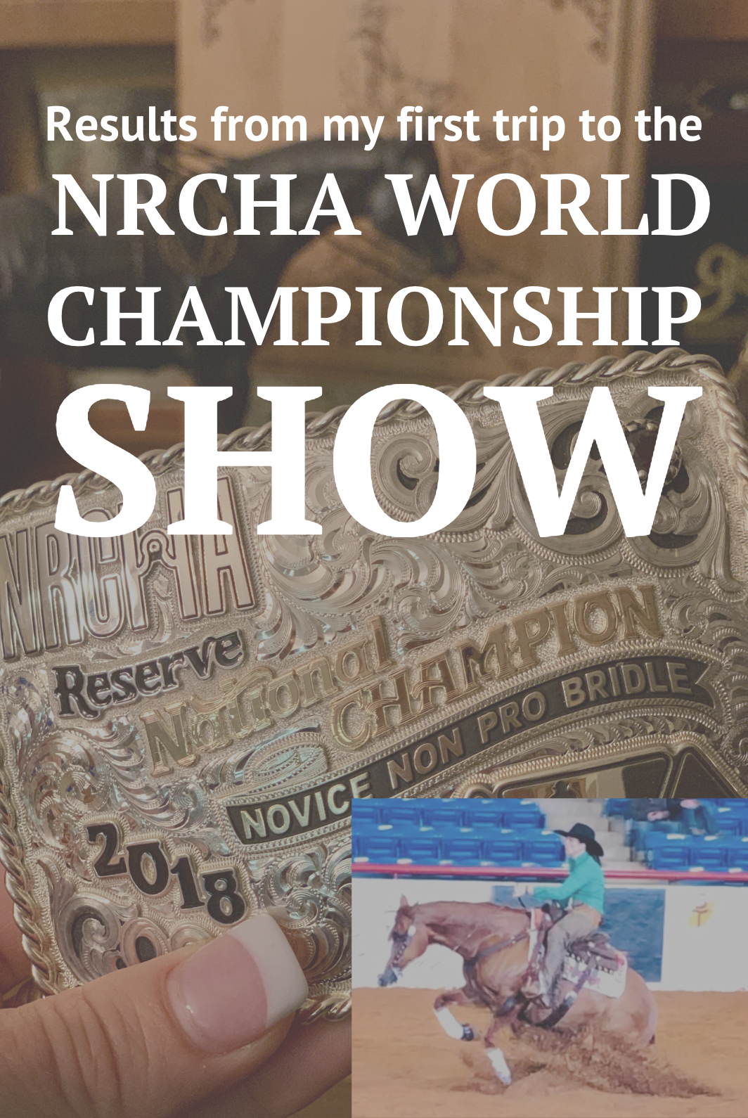 NRCHA_WORLD_SHOW_RESULTS_ANDREA_OTLEY.png