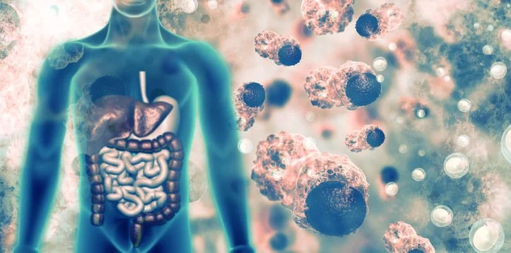 How your Gut Affects your Immune System: A Symbiotic Relationship