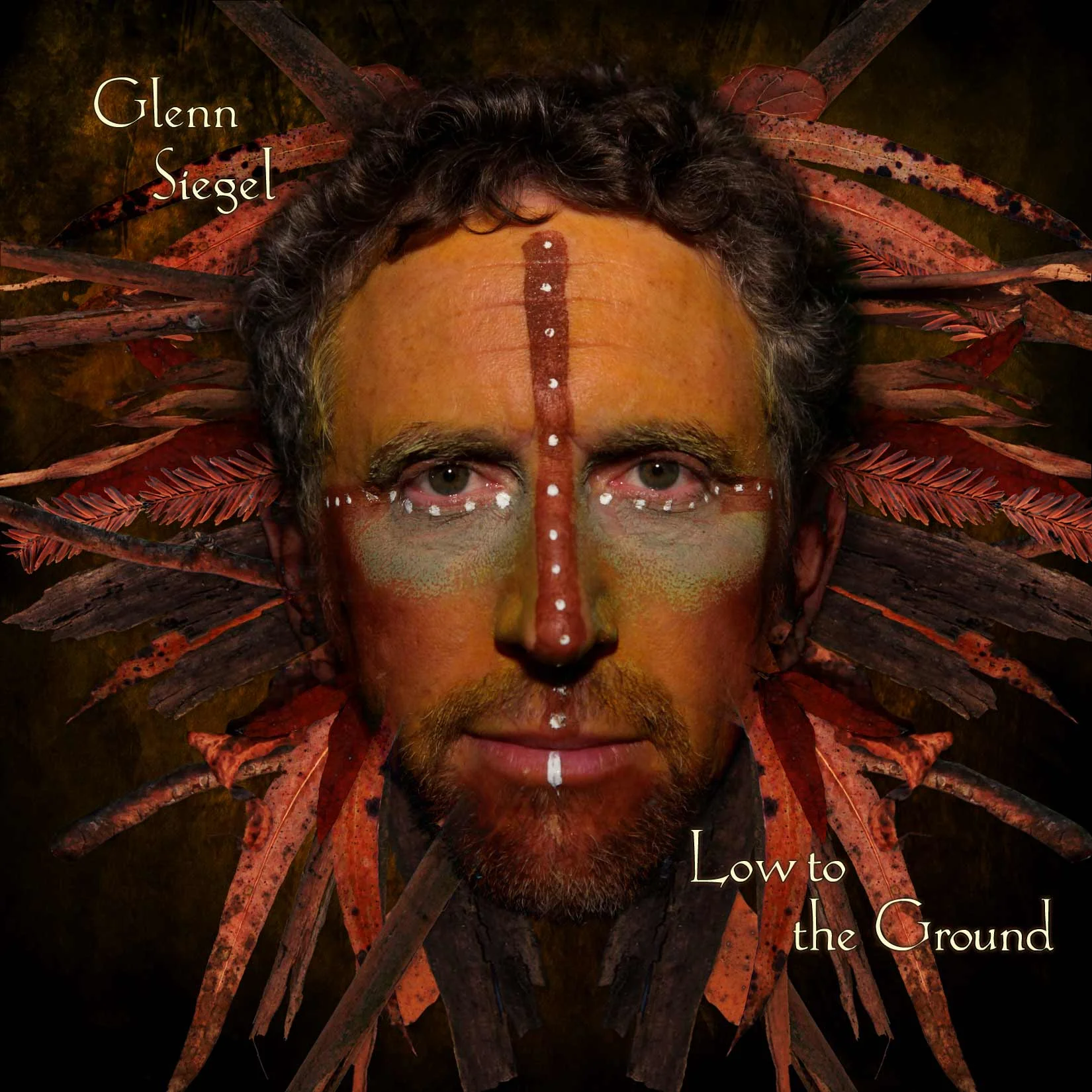 Low to the Ground_cover.jpg