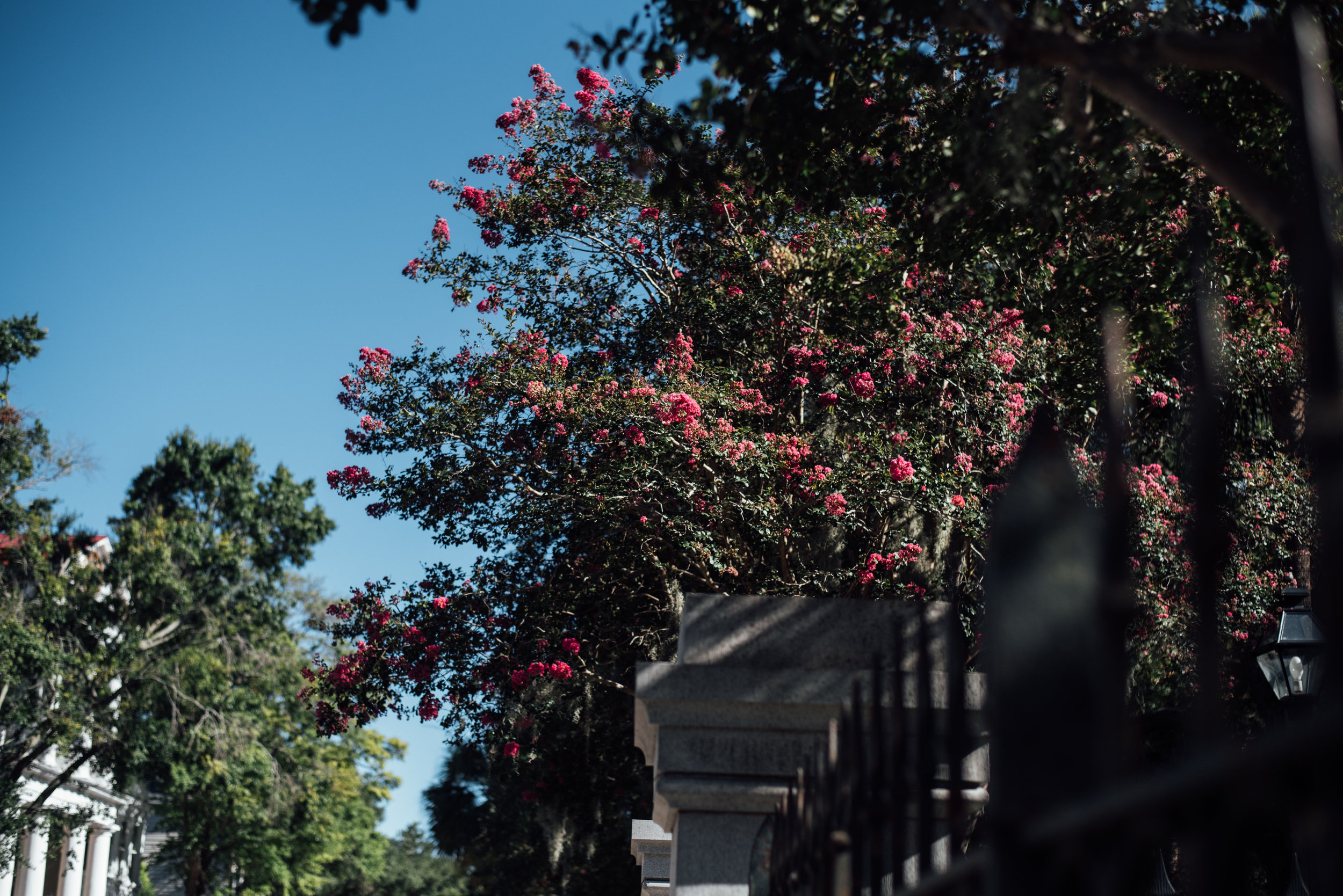 Charleston.Trip.TheStirewalts.2017-1.jpg