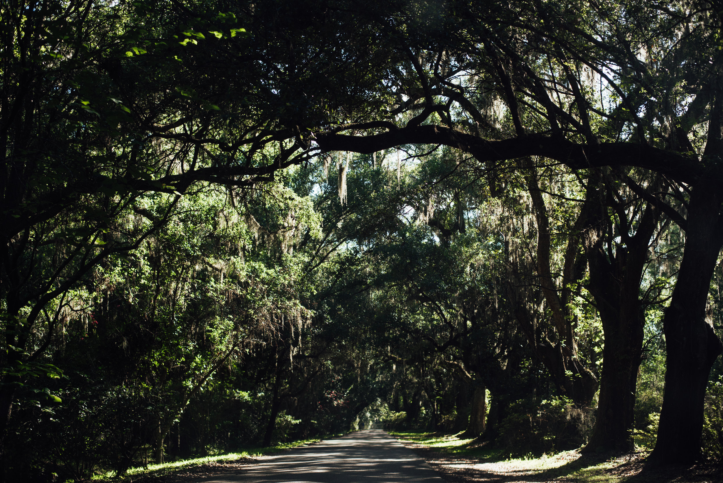 Charleston.Trip.TheStirewalts.2017-16.jpg