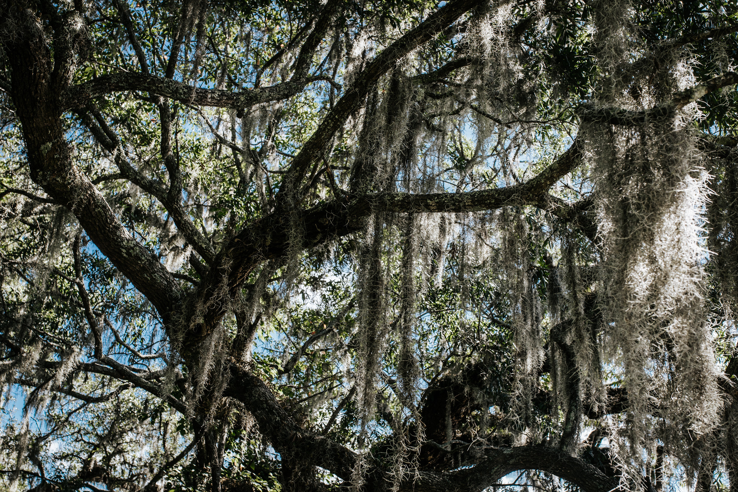 Charleston.Trip.TheStirewalts.2017-21.jpg