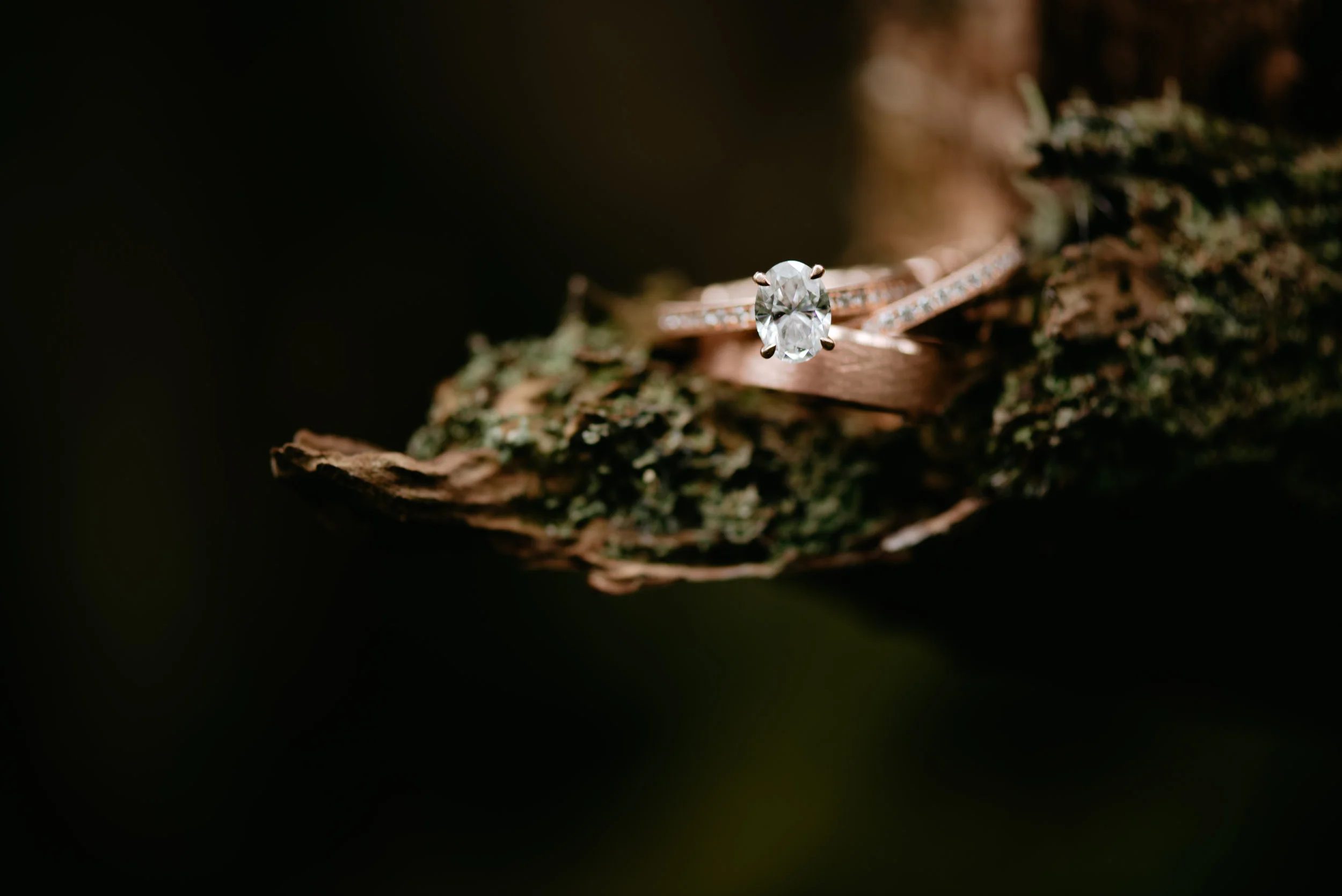 Ashley.Travis.Weddingday.053.jpg