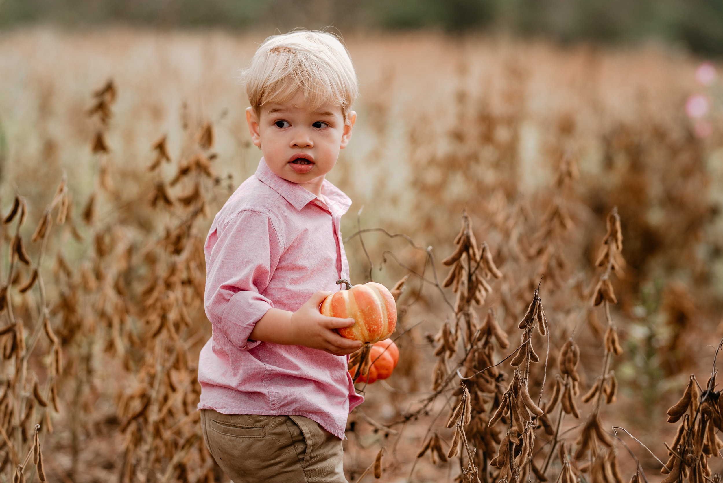 Honeycutt.Fall.family.©2017.TheStirewalts.Photography.LLC-59.jpg