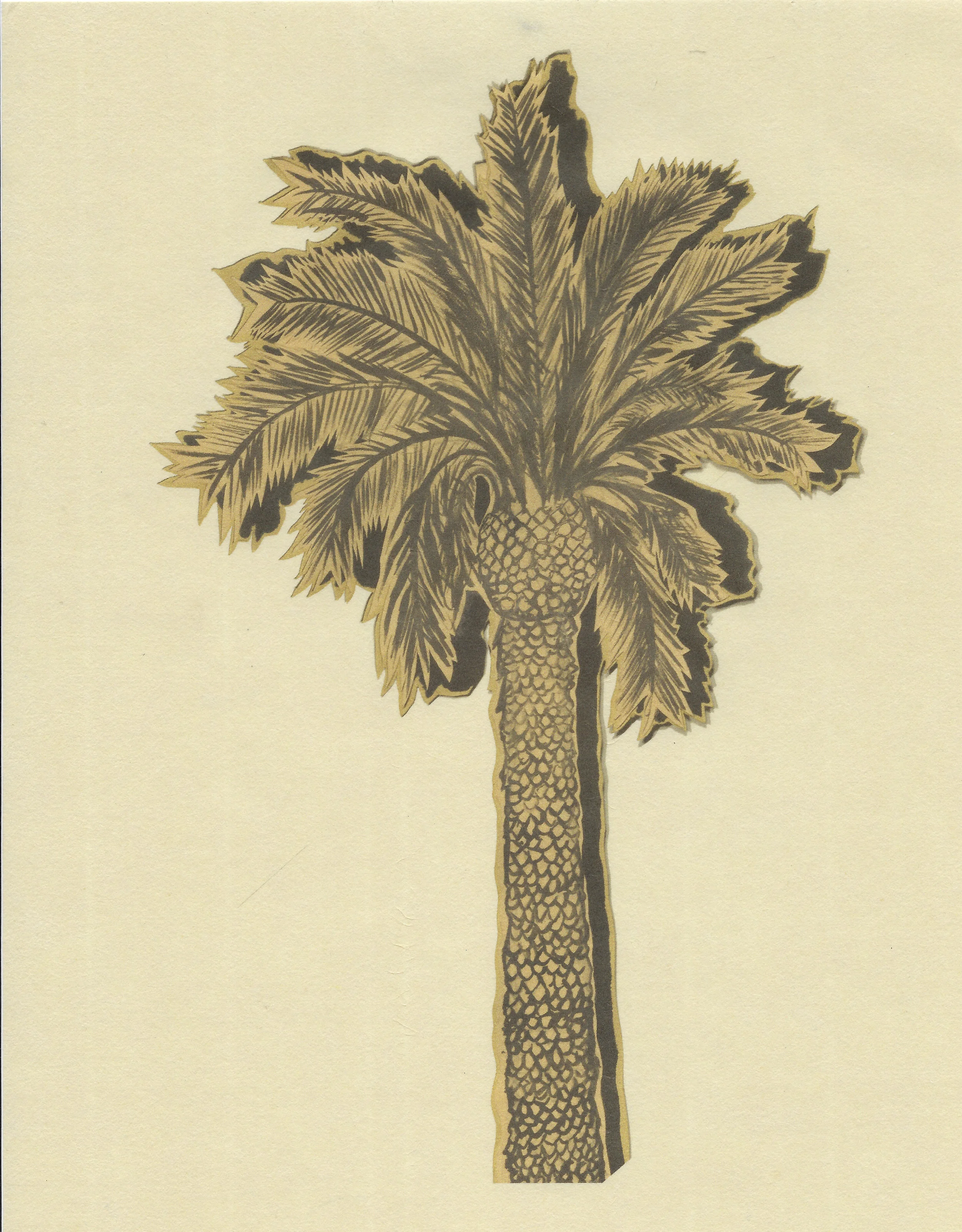Palm tree on kozu.jpg