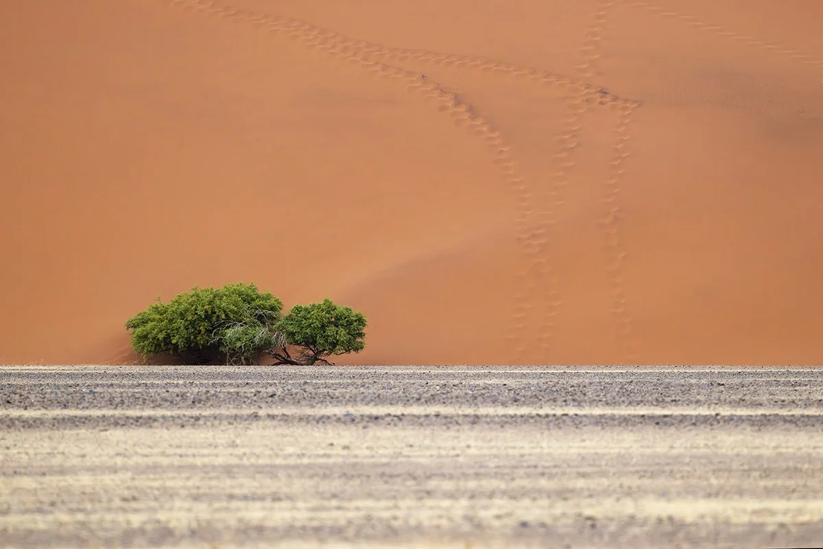 Sossusvlei Dune