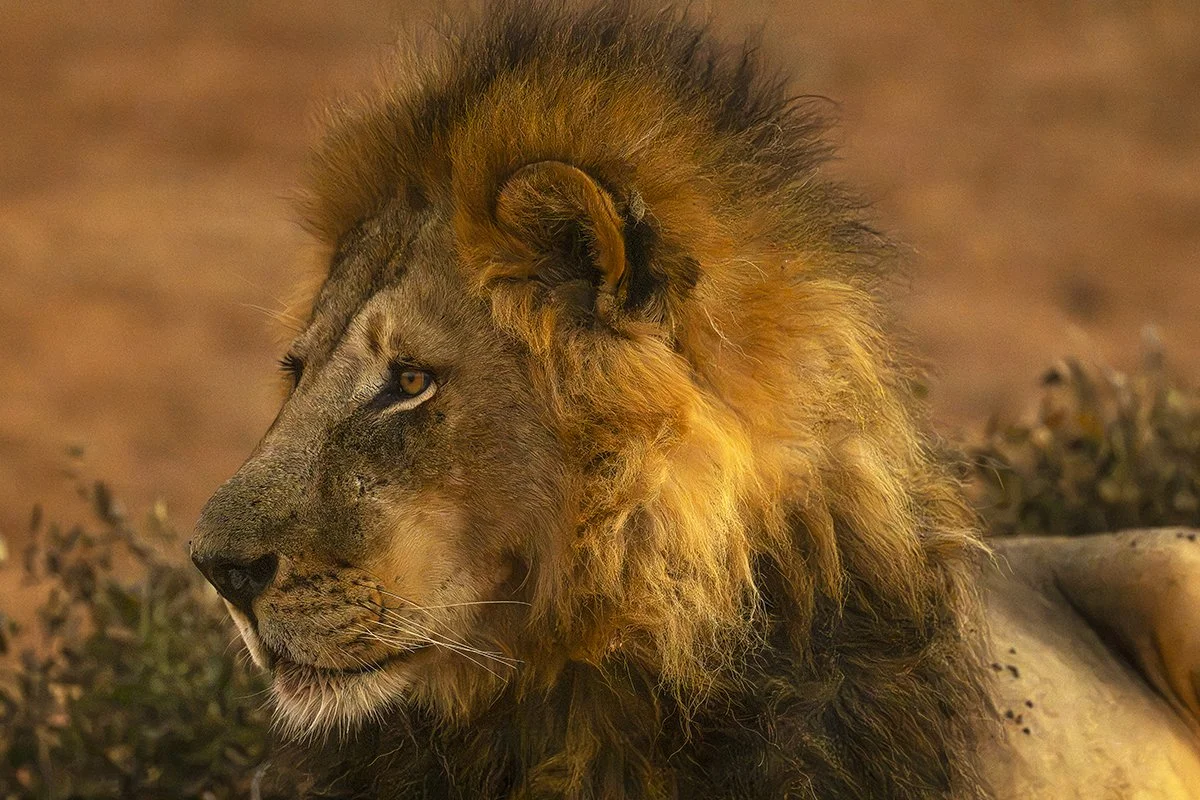 Botswana 1_0093.jpg