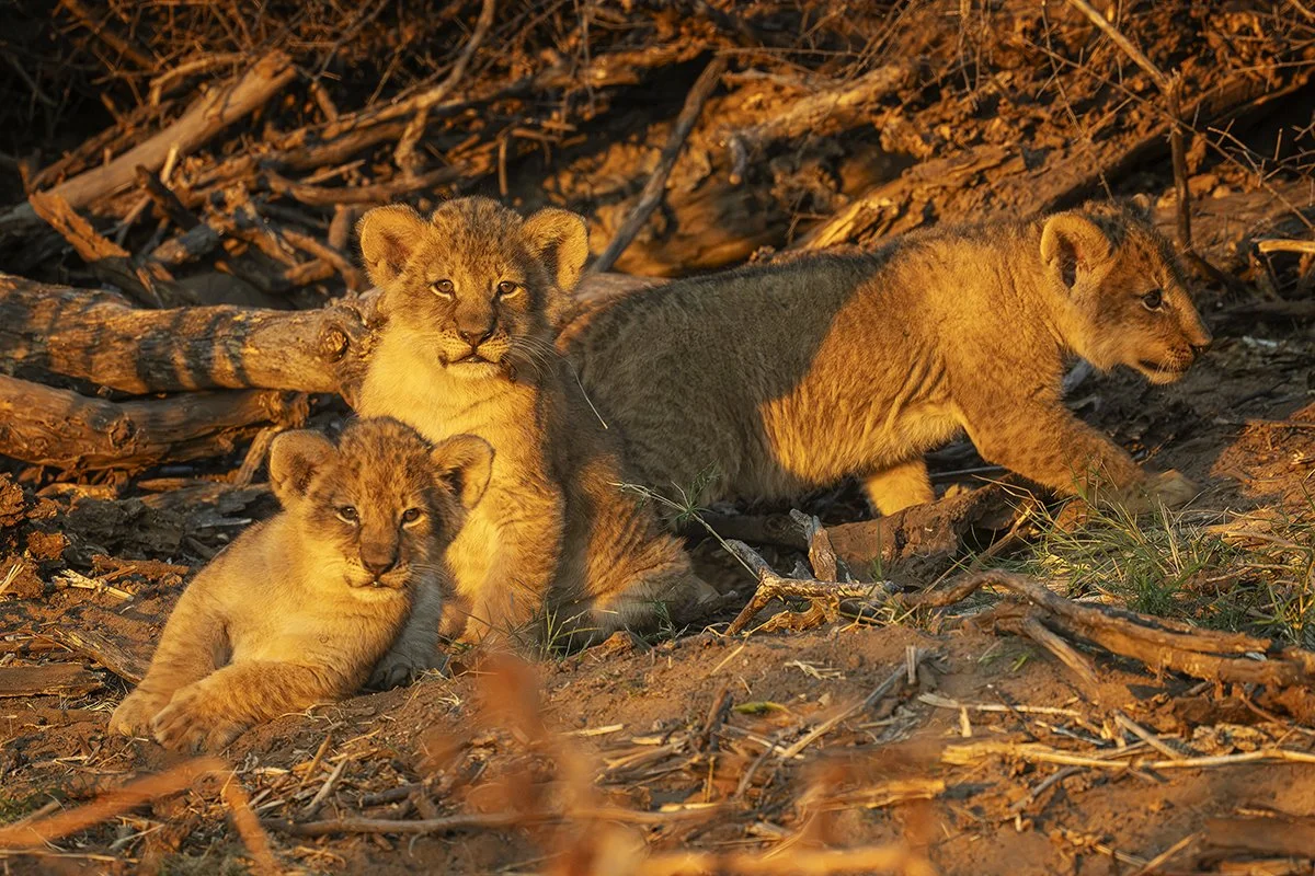 Botswana 1_0100.jpg