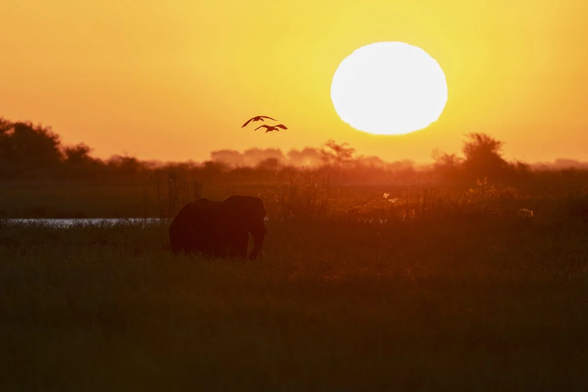Botswana 2_0432.jpg