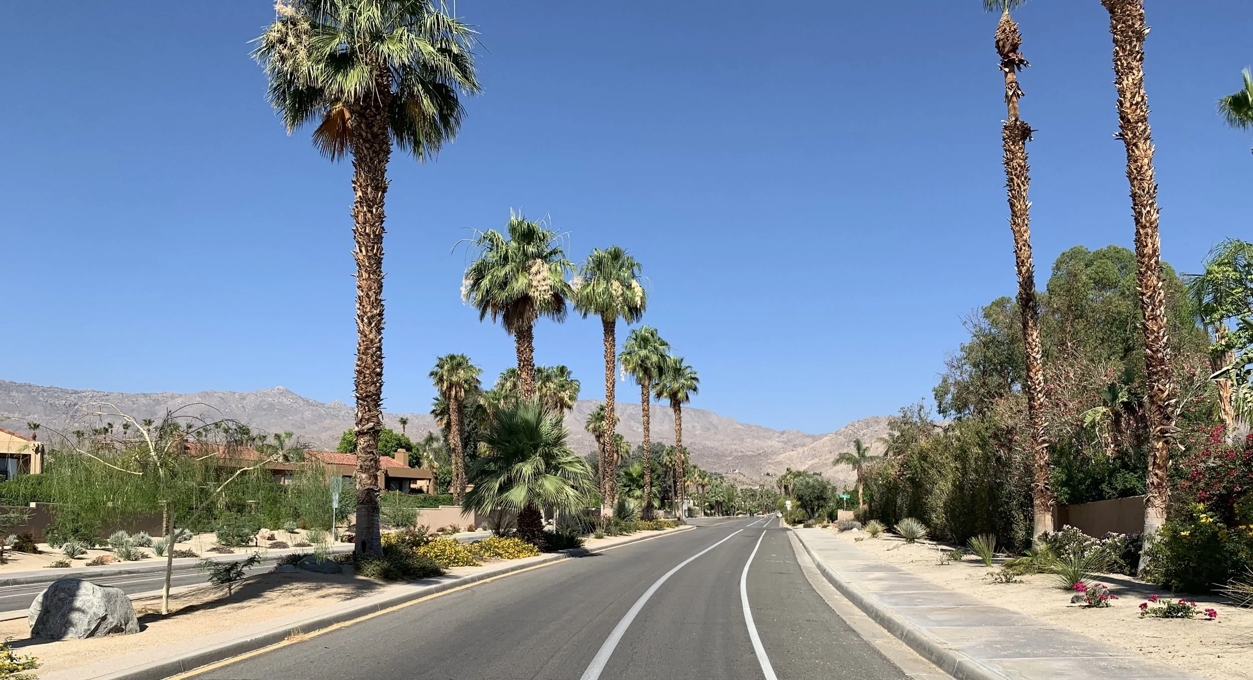 Palm Springs: Shadow Mountain - 48 miles / 1300'  🌵