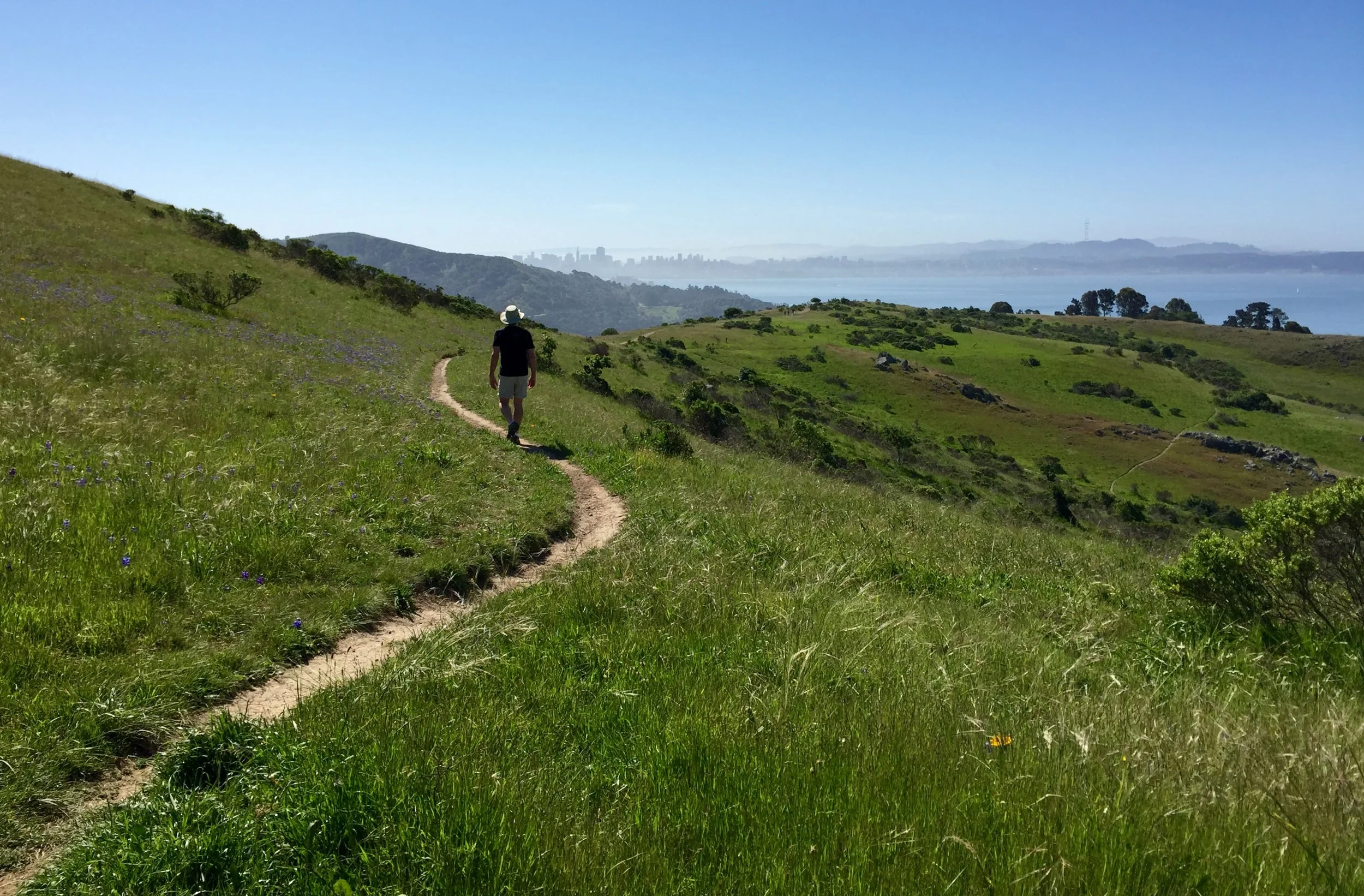 hiker-and-san-franciscco-carolyn-kohler.jpg