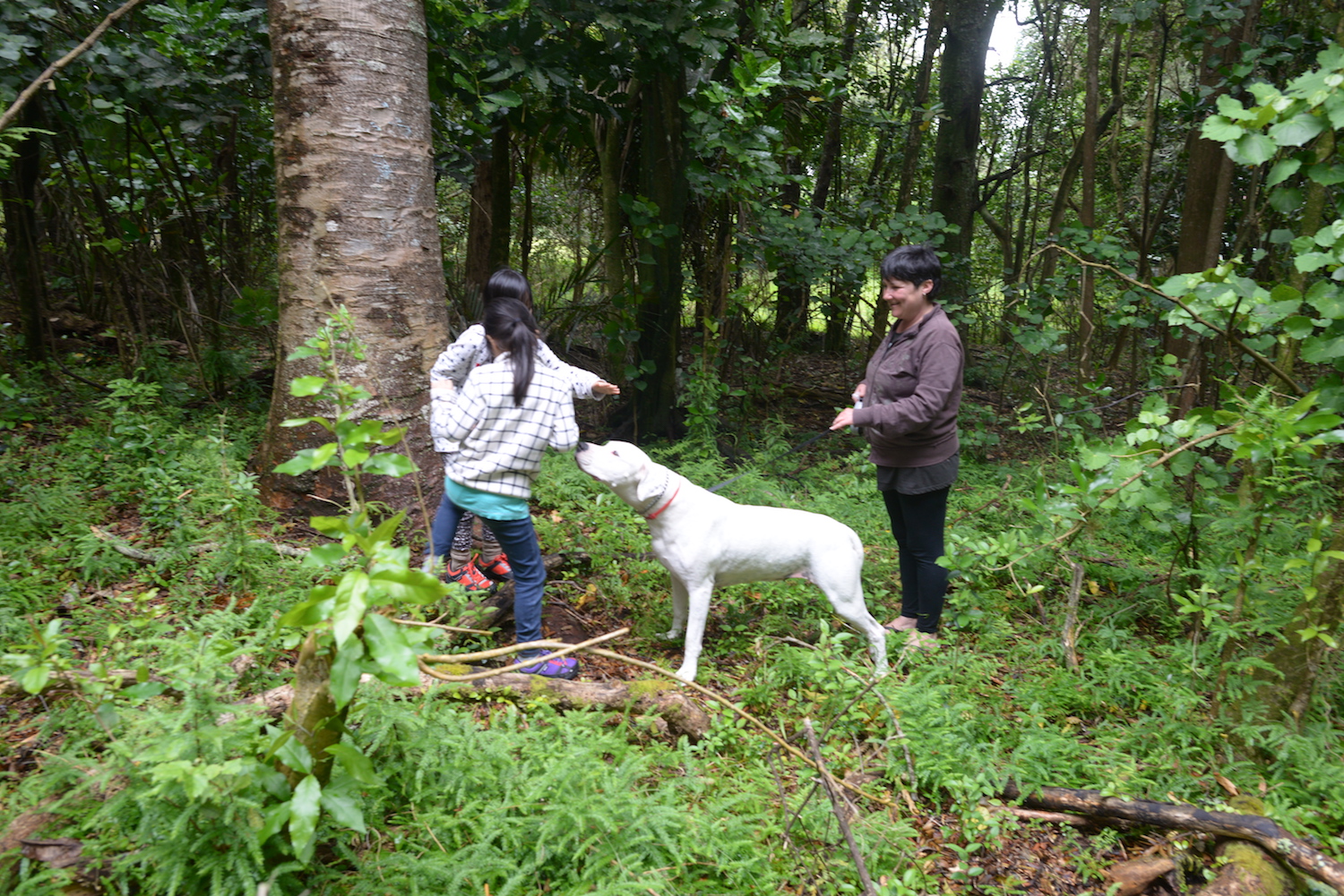 Fiona and Daisy bringing the girls around the native bush on the property.