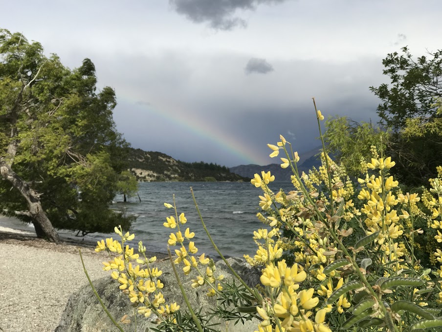 The rainbow over Wanaka.