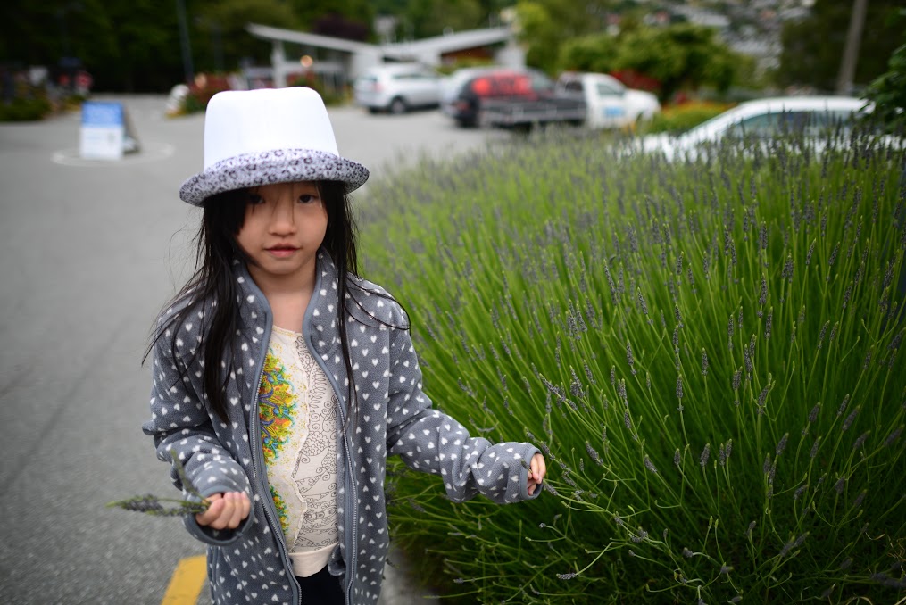 Anais enjoying the lavender. Needless to say, we had tons of dried lavender in the campervan during our stay!