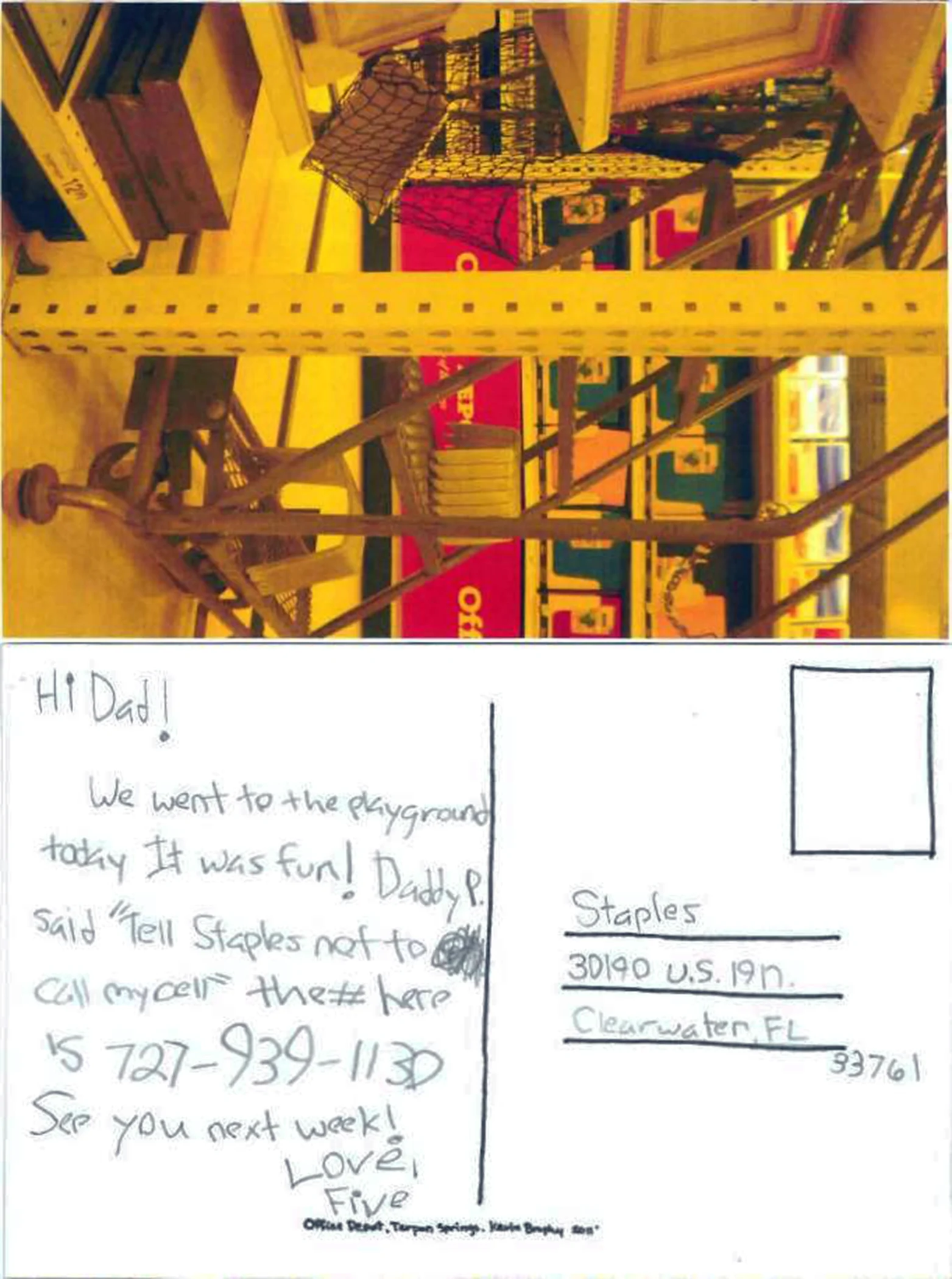 staplepc1a.jpg