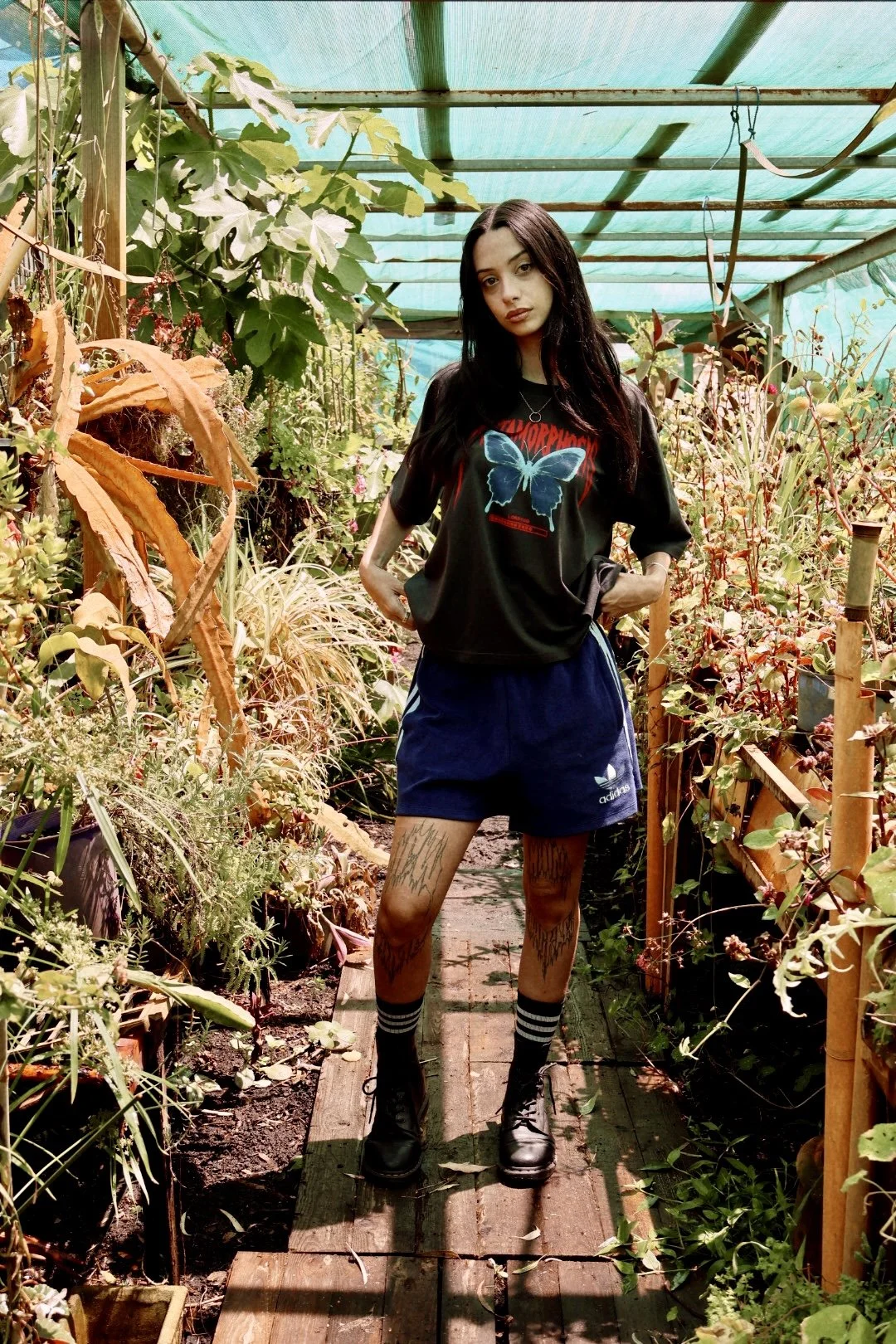 metamorphosis bella blk.jpg