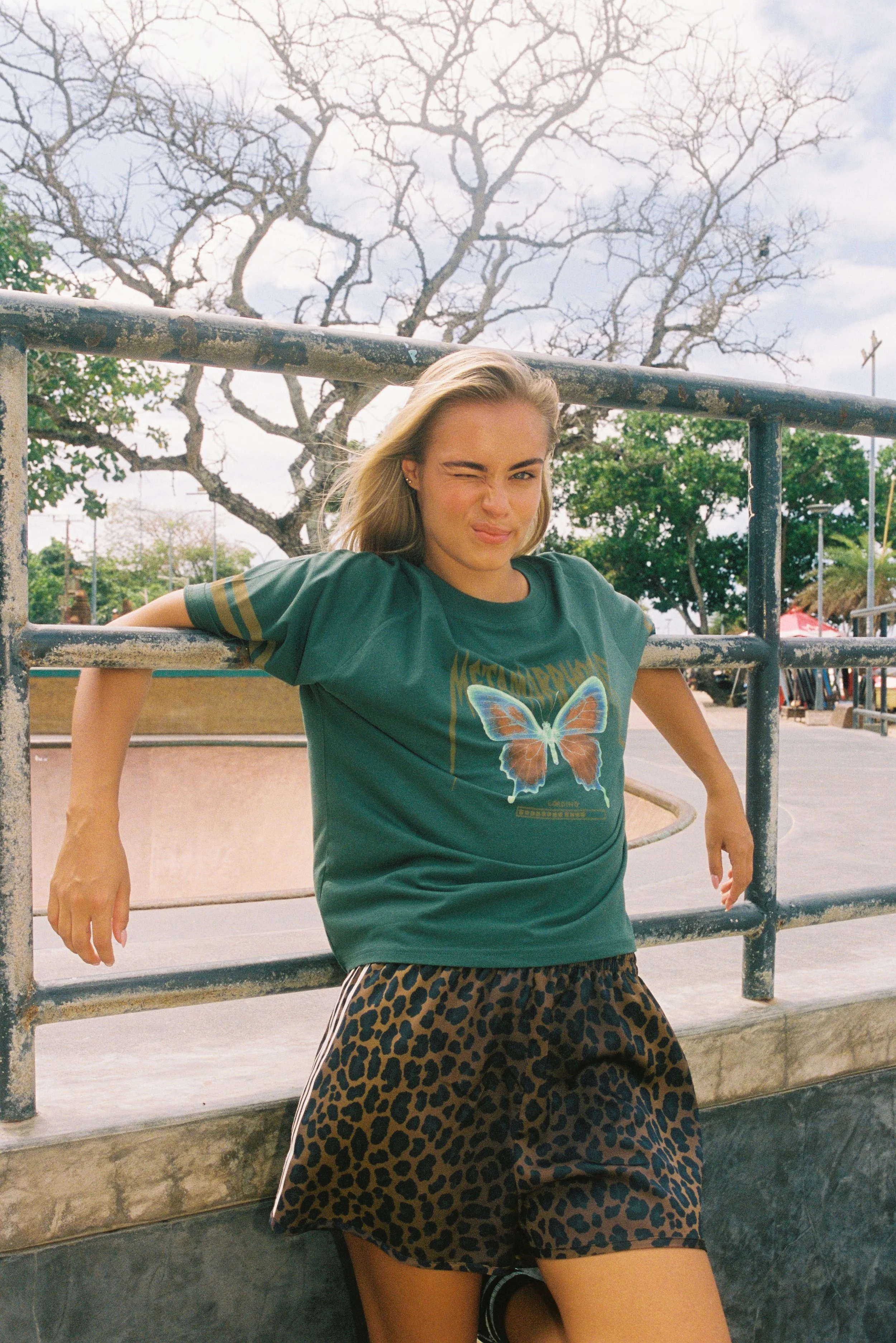 metamorphosis skate.JPG