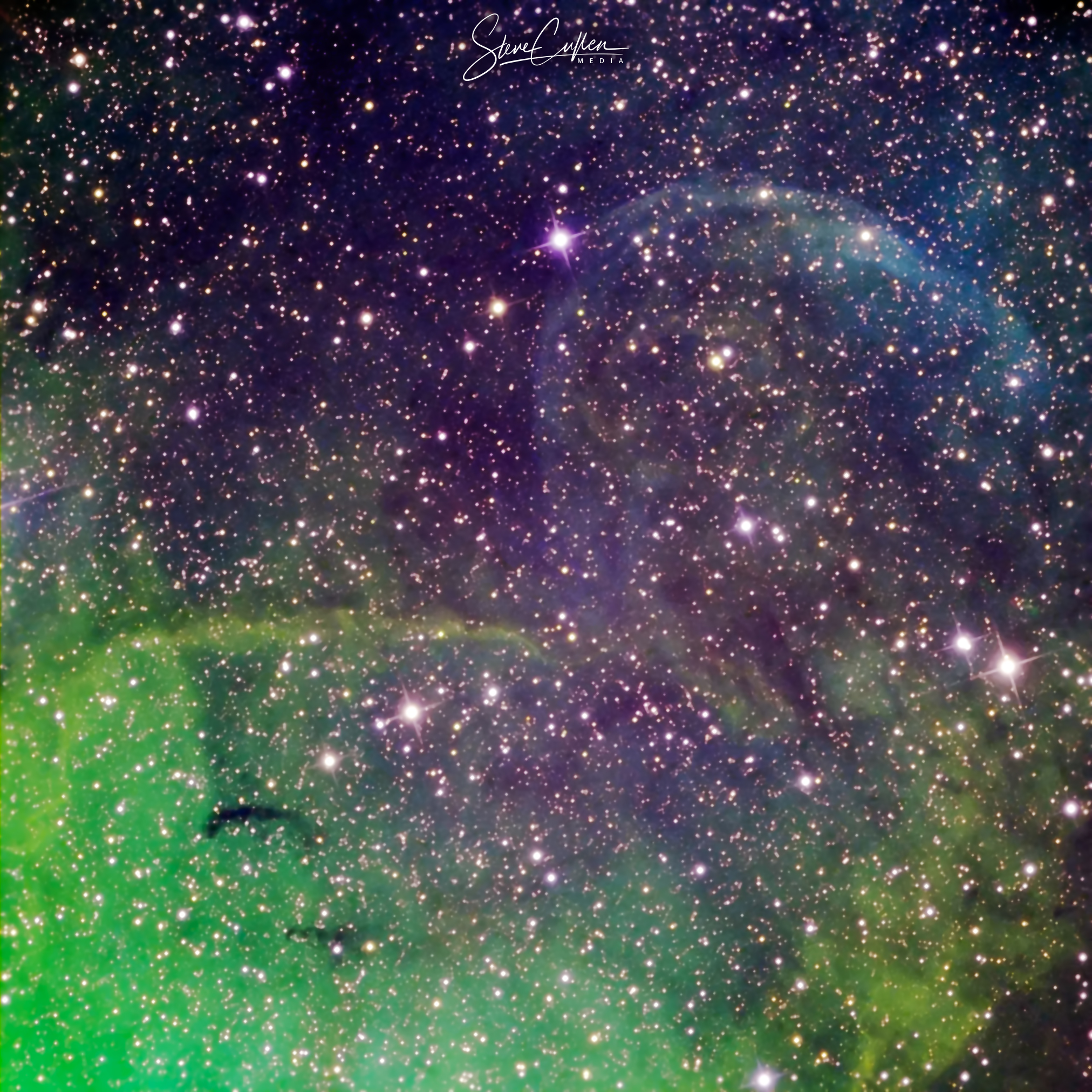 Jet-Blown Nebula of Cygnus X-1