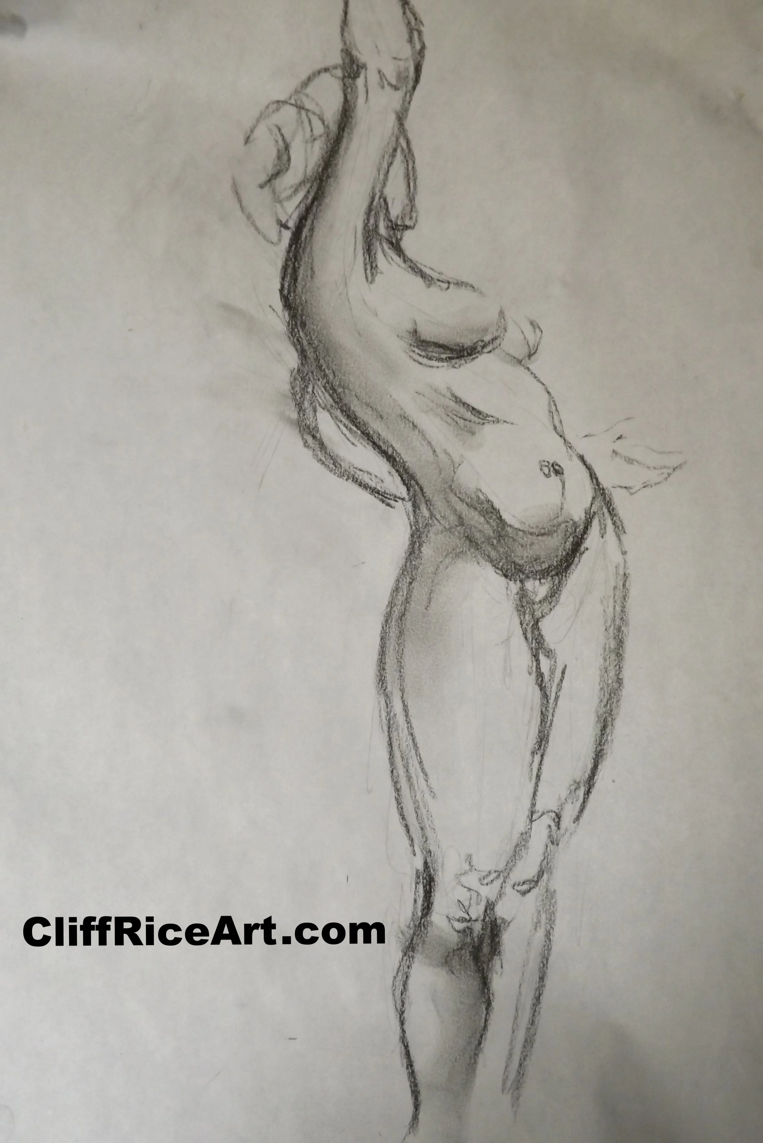 Comfortably Beautiful 