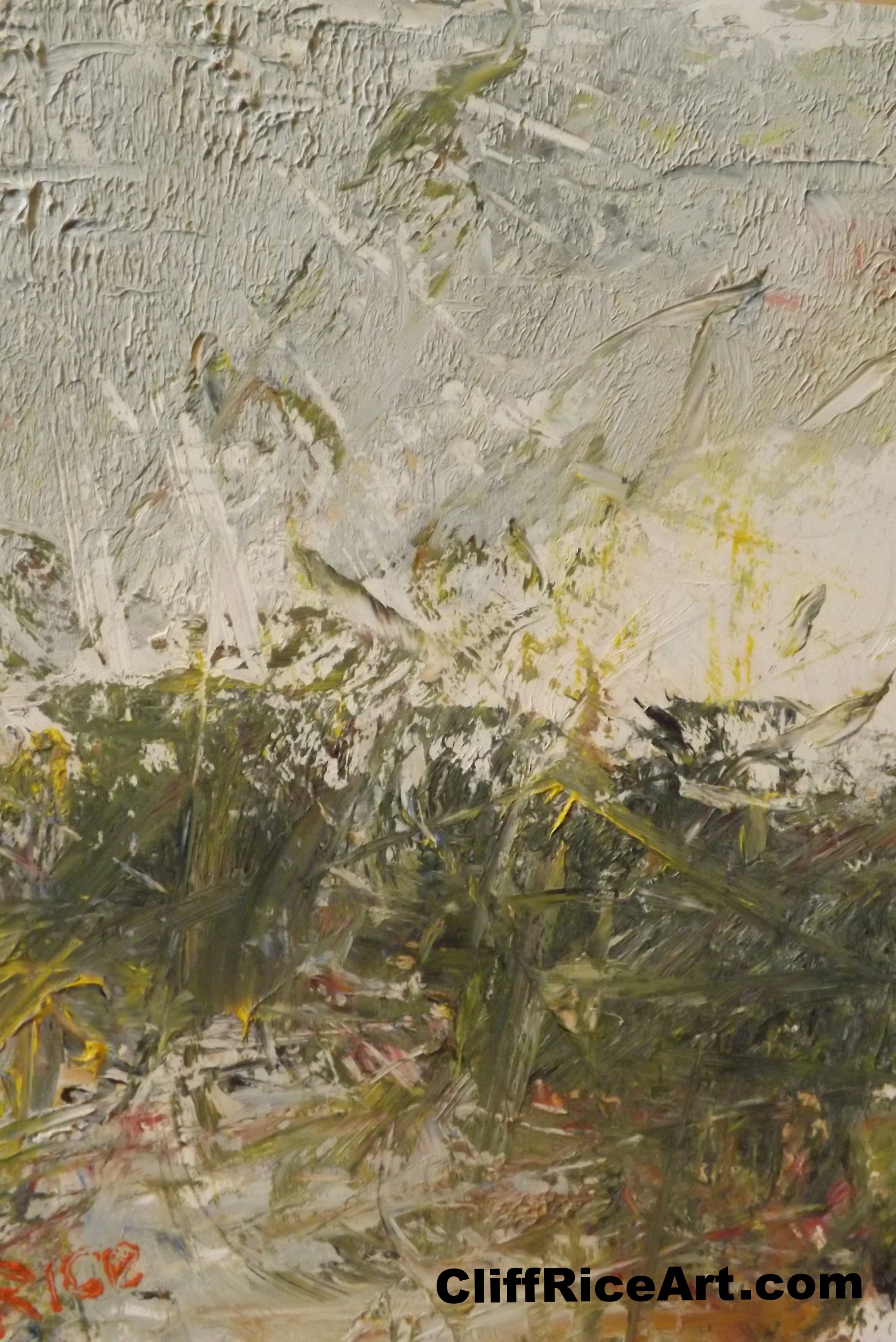 The Forest Of The Mind's Eye