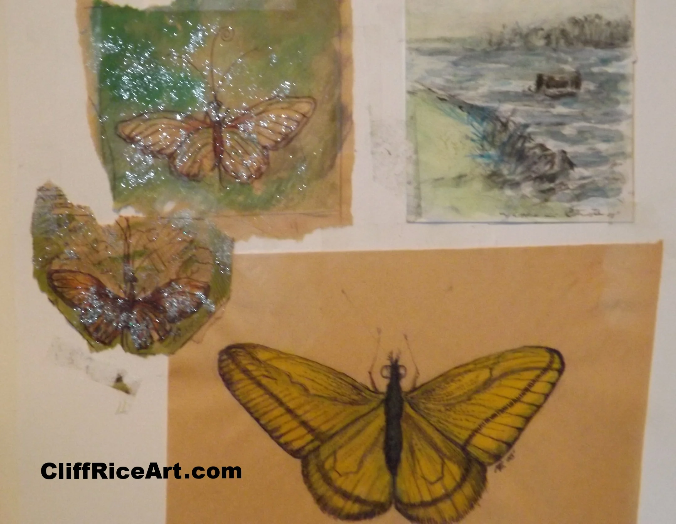 Paintings Of Butterflies 