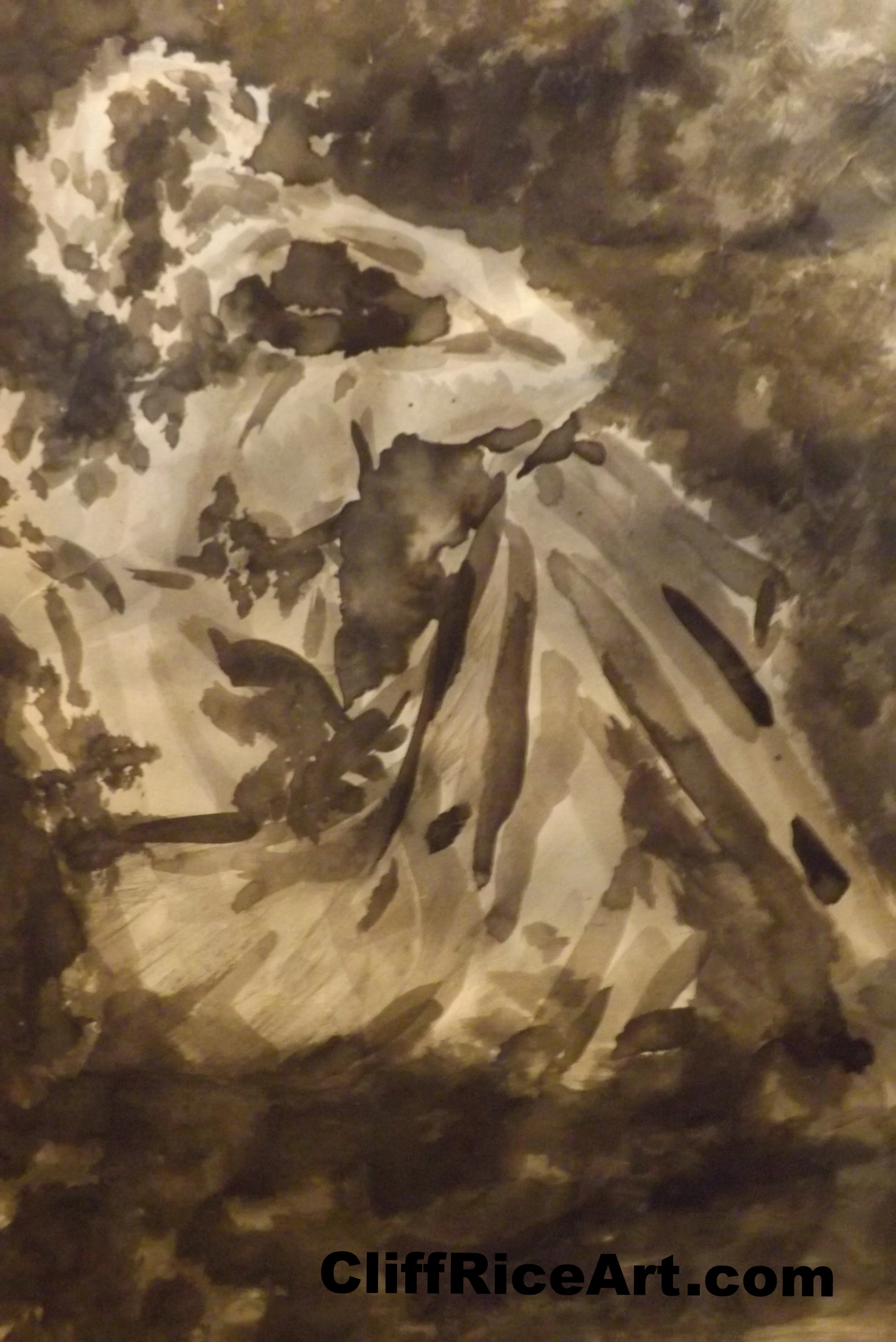 Shadow Contemplation 