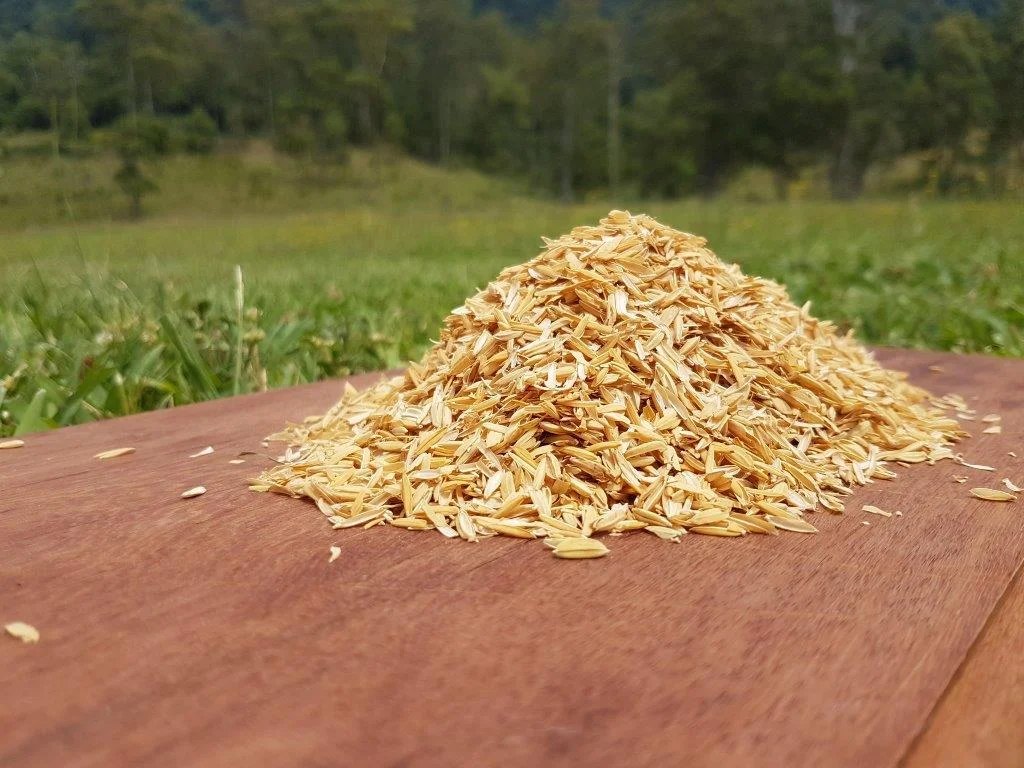 Rice Husk.jpg