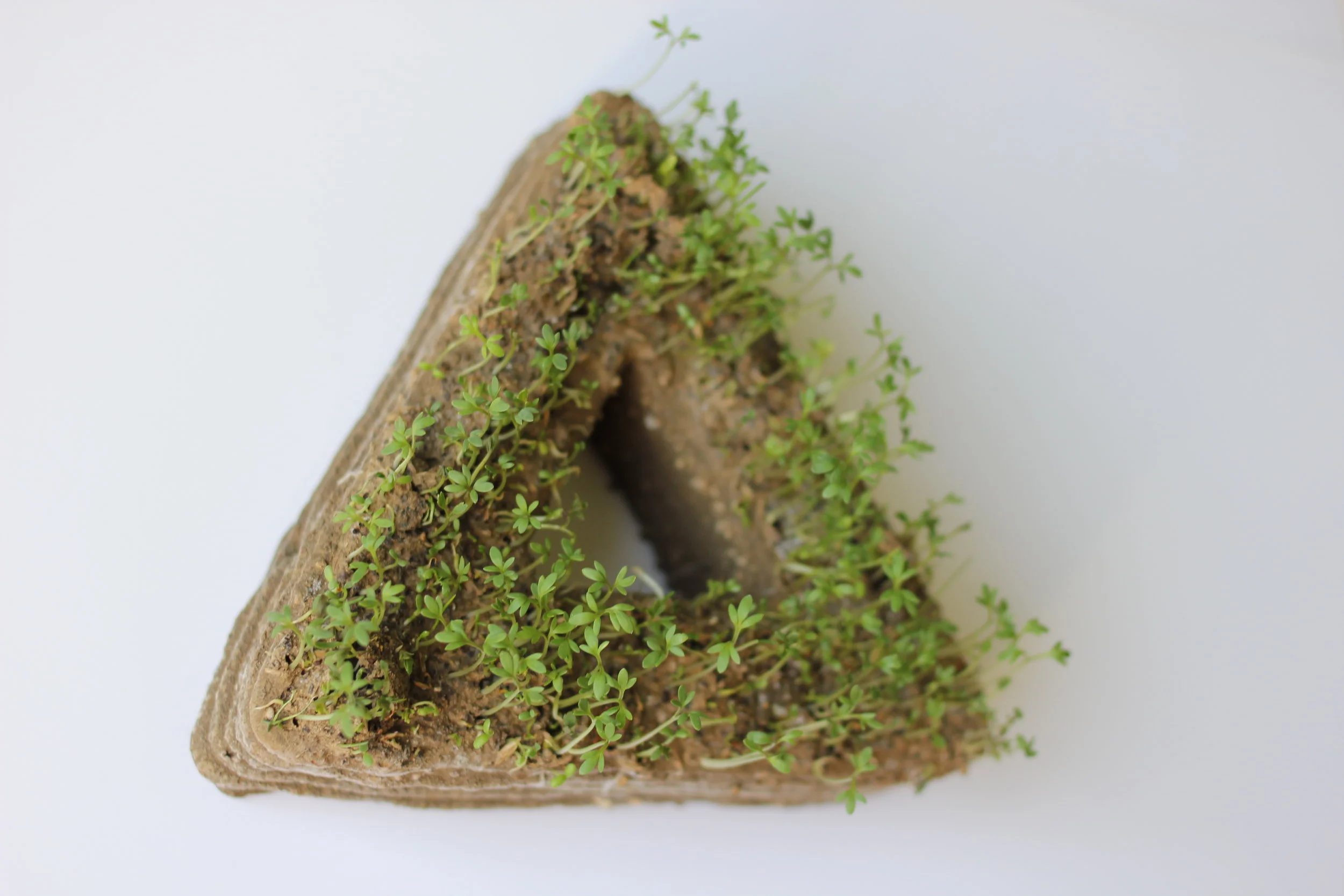  Collaboration with Maja Petek and PrintGreen   &nbsp;https://mapetie.com/   Soil 3D Print, Watercress, Clover  1-3-17 