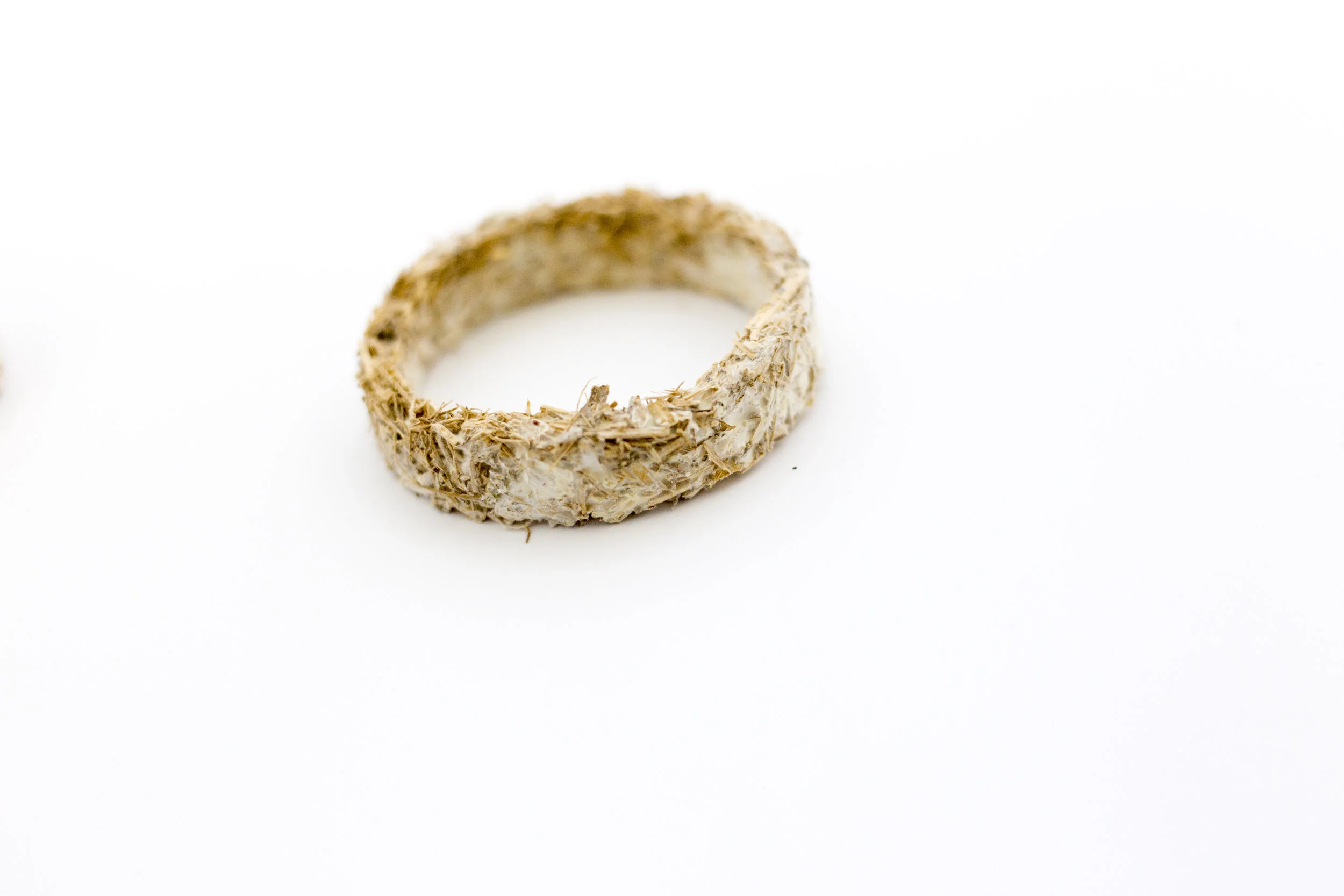 Mycelium