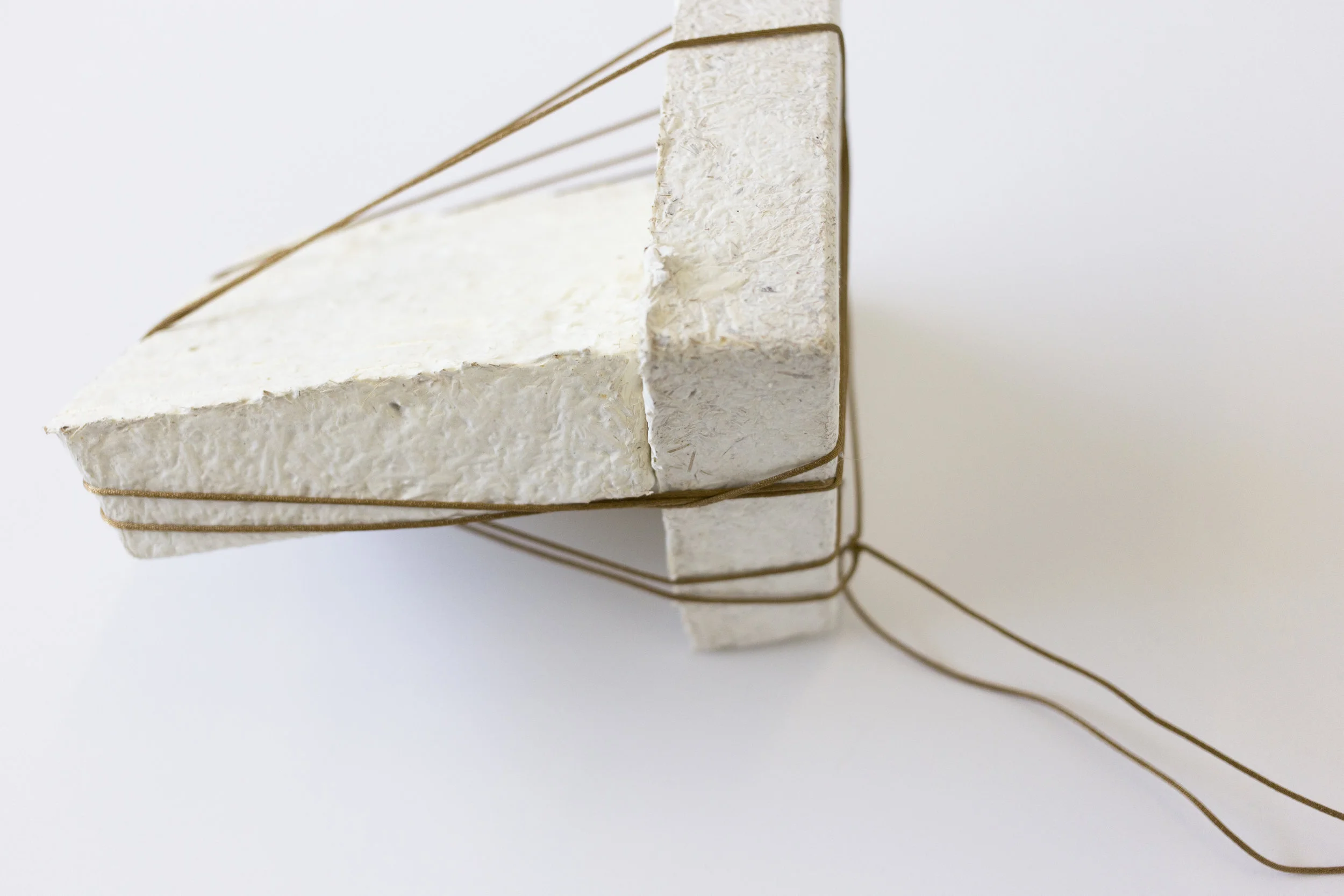 Mycelium, Rope