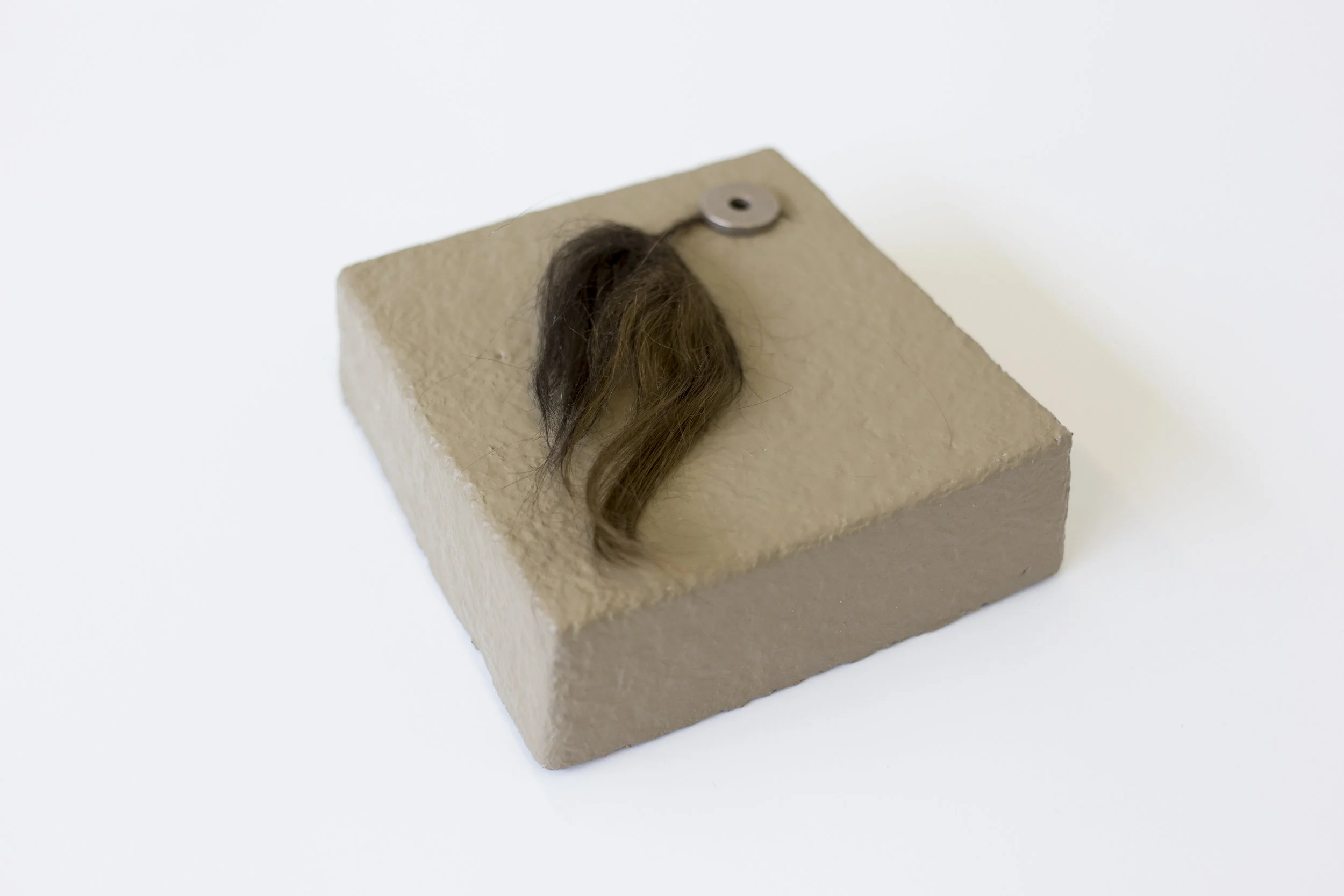 Mycelium, Metal, Hair