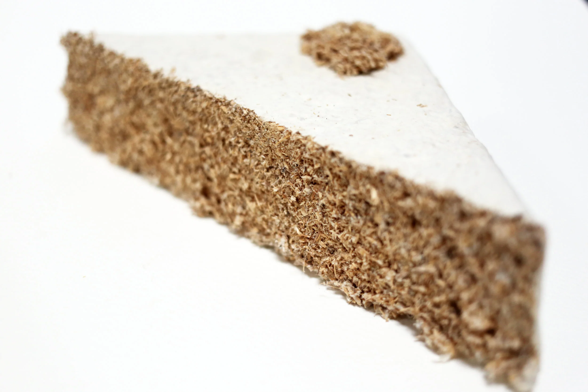 Mycelium, Alginate