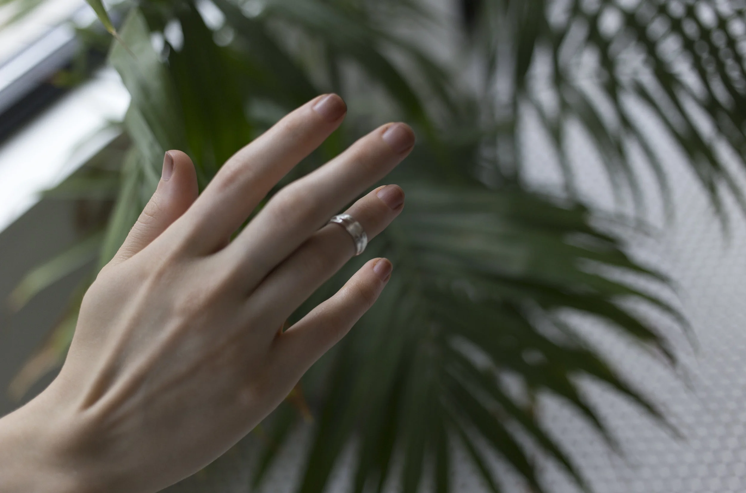 shelby_ring2_plant.jpg