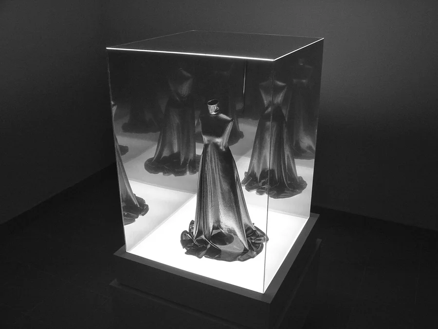 1_in vitro_bis a bis.jpg