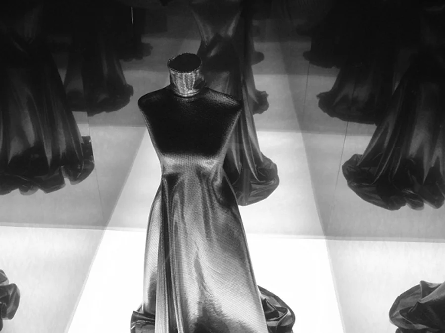 2_in vitro_bis a bis.jpg