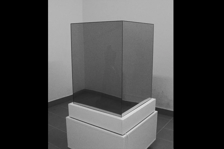 5_in vitro_bis a bis.jpg