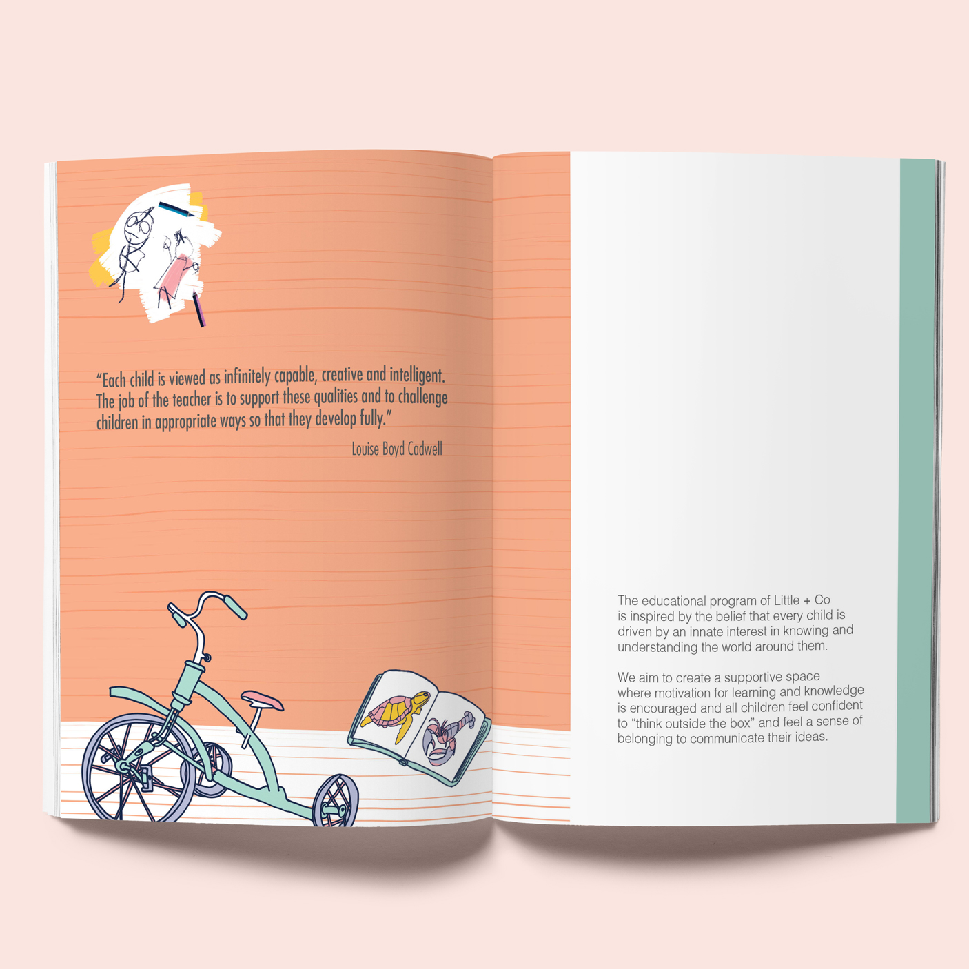 little-and-Co-Spread-1.jpg