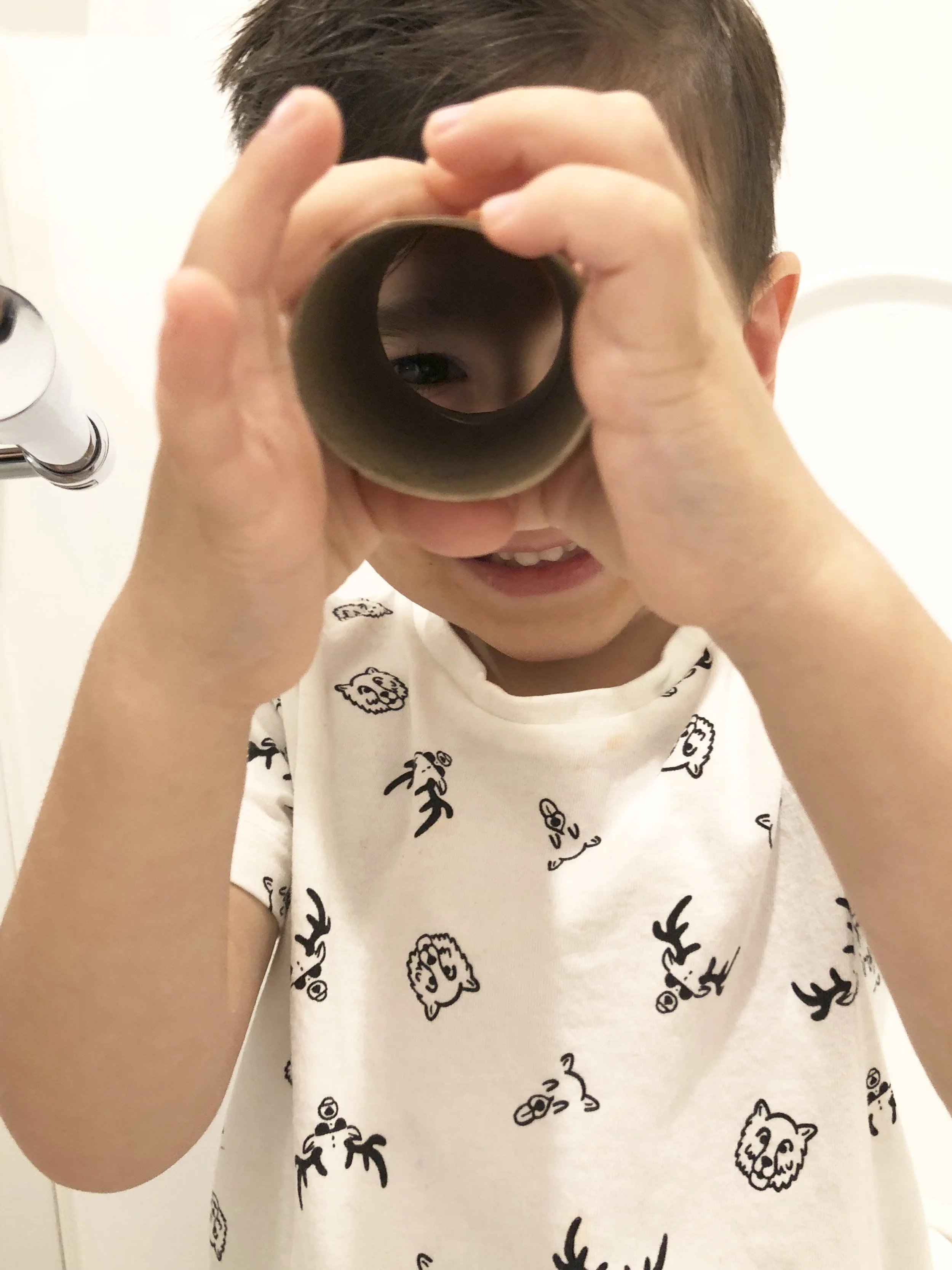 Potty Training a toddler.jpg
